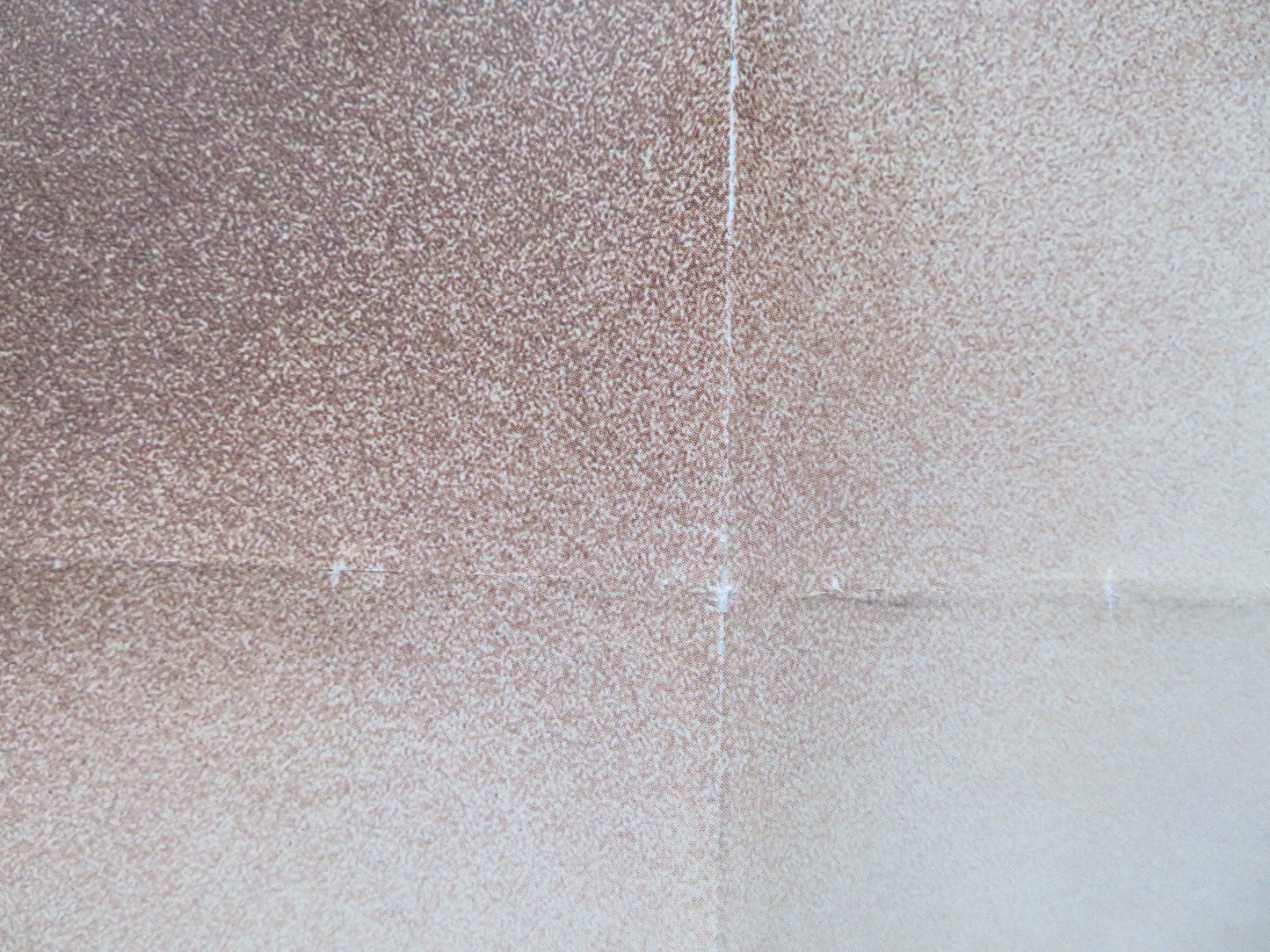 SURVIVING PICASSO UK QUAD ROLLED POSTER ANTHONY HOPKINS NASTASCHA MCELHONE 1996 Rendezvous Cinema Movie posters