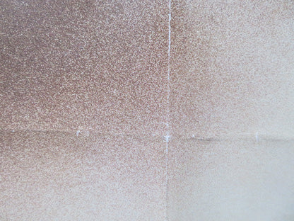 SURVIVING PICASSO UK QUAD ROLLED POSTER ANTHONY HOPKINS NASTASCHA MCELHONE 1996 Rendezvous Cinema Movie posters