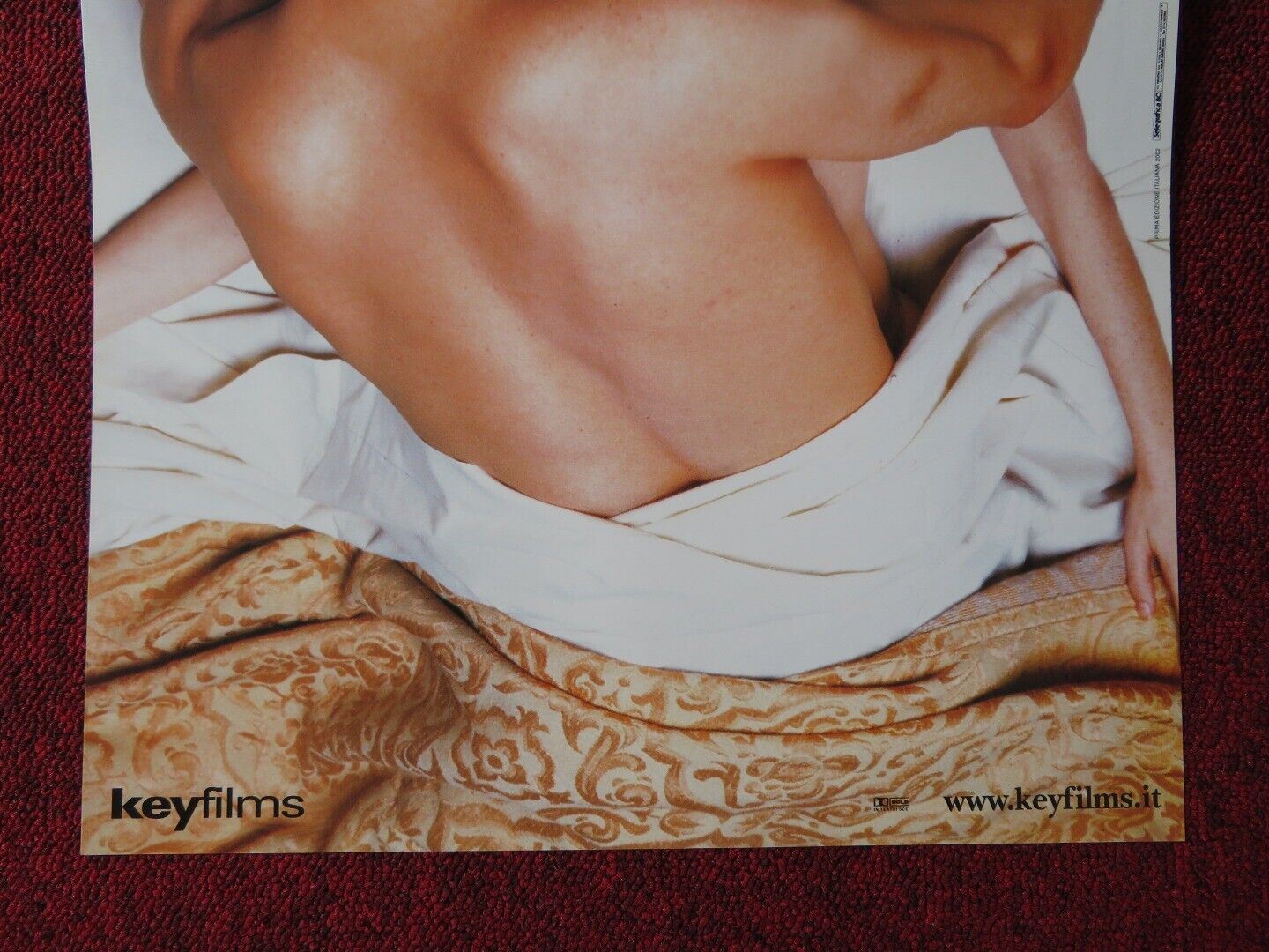 SUSPICIOUS RIVER ITALIAN LOCANDINA (25.5"x12.5") POSTER MOLLY PARKER 2000 - Rendezvous Cinema