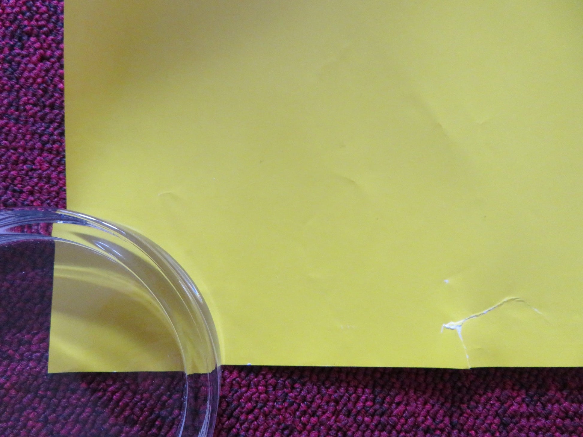 SVENGALI - B UK QUAD ROLLED POSTER MARTIN FREEMAN MATT BERRY 2013 Rendezvous Cinema Movie posters