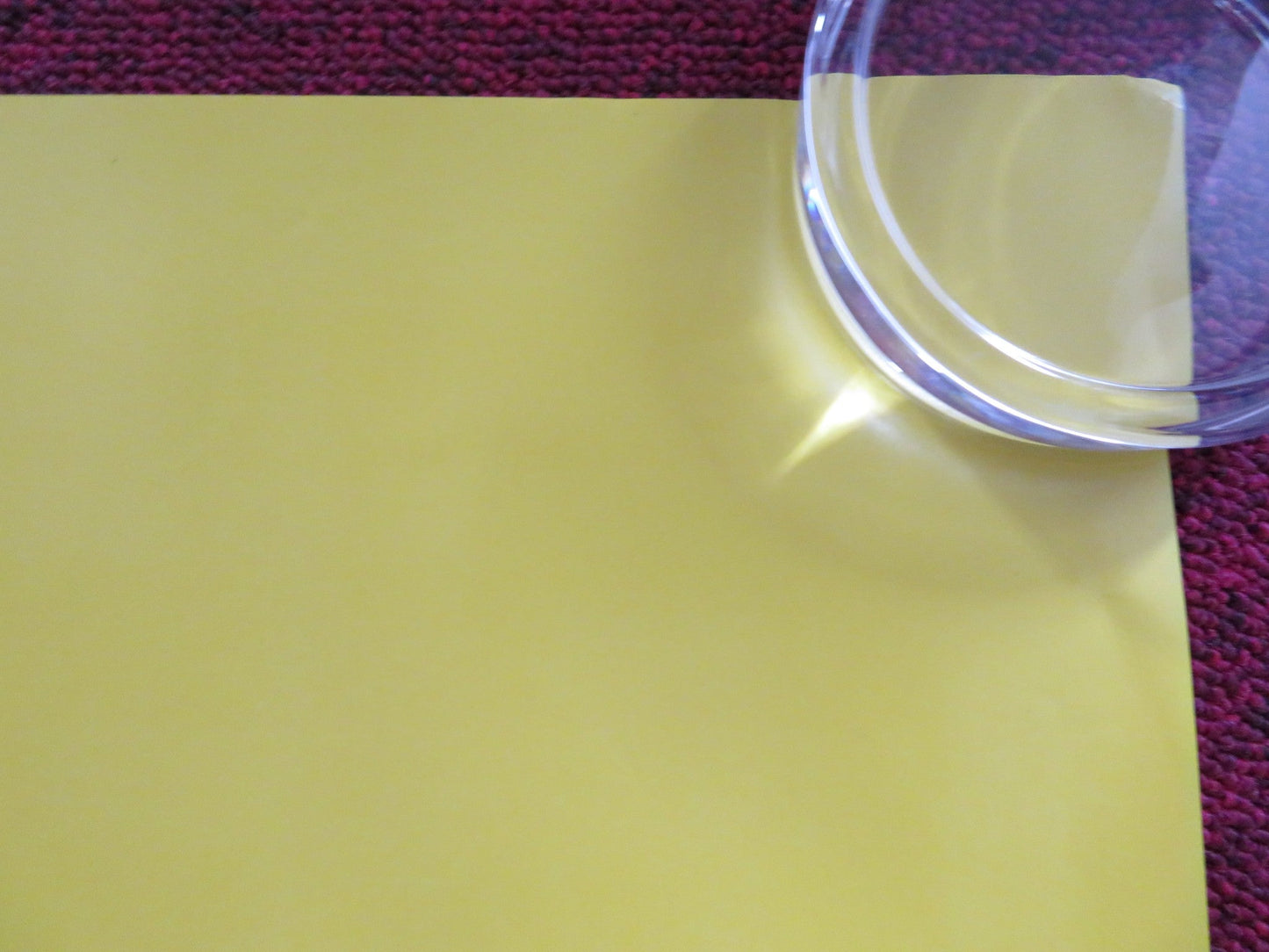 SVENGALI - B UK QUAD ROLLED POSTER MARTIN FREEMAN MATT BERRY 2013 Rendezvous Cinema Movie posters