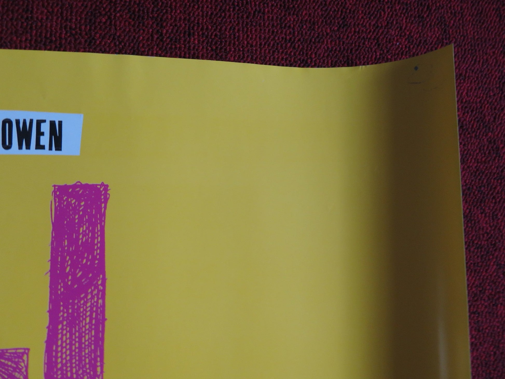 SVENGALI UK QUAD (30"x 40") ROLLED POSTER MARTIN FREEMAN MATT BERRY 2013 Rendezvous Cinema Movie posters