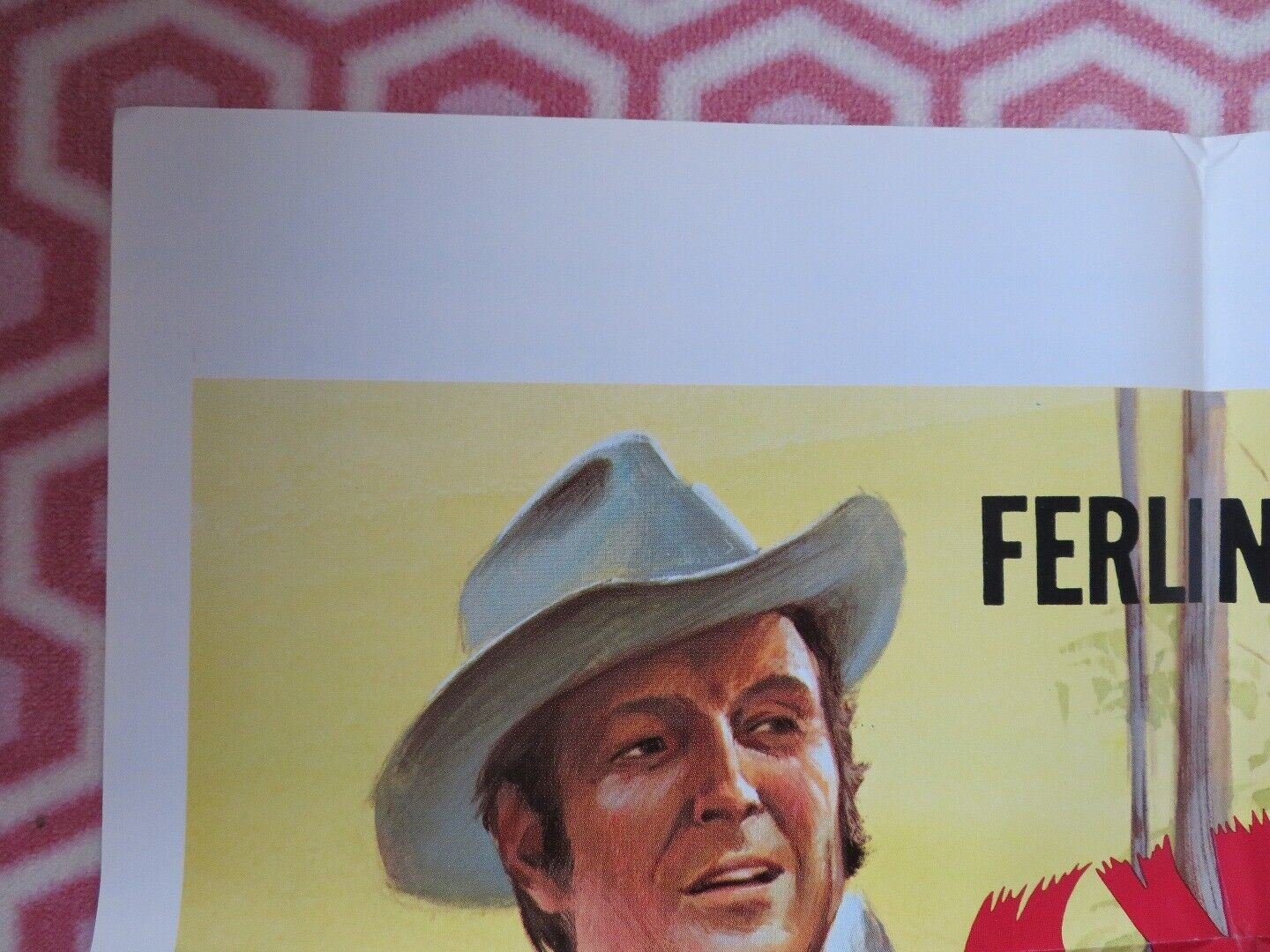 SWAMP GIRL US ONE SHEET POSTER FERLIN HUSKY 1971 Movie posters