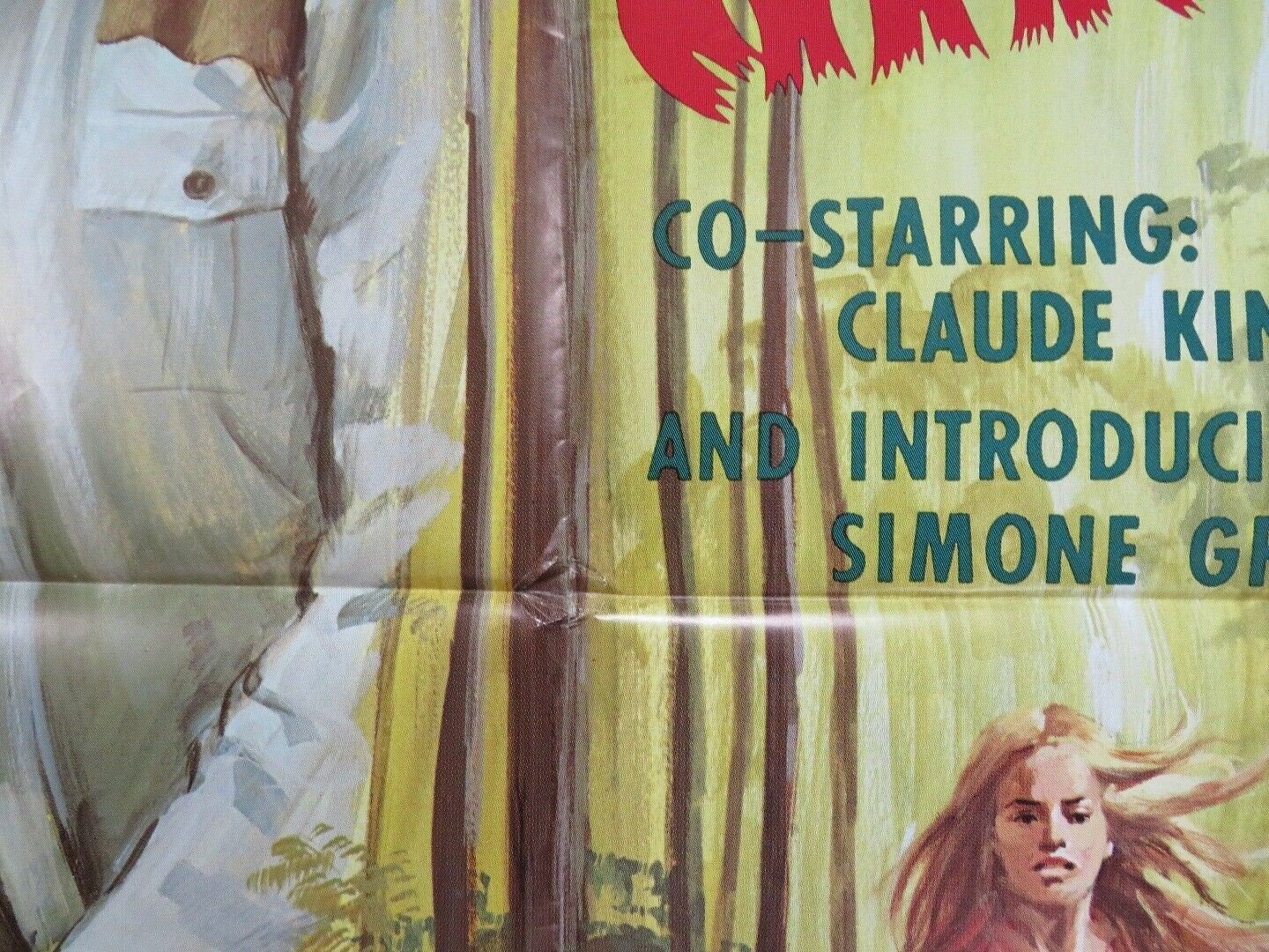 SWAMP GIRL US ONE SHEET POSTER FERLIN HUSKY 1971 Movie posters