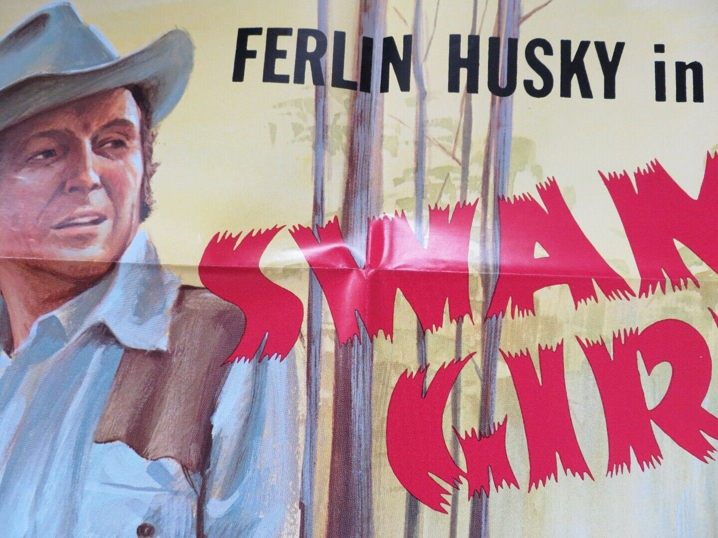 SWAMP GIRL US ONE SHEET POSTER FERLIN HUSKY 1971 Movie posters