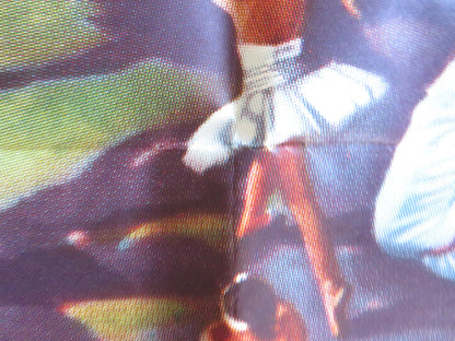 SWAN LAKE FOLDED US ONE SHEET POSTER MAYA PLISETSKAYA NIKOLAI FEDEYCHEV 1960 Rendezvous Cinema Movie posters