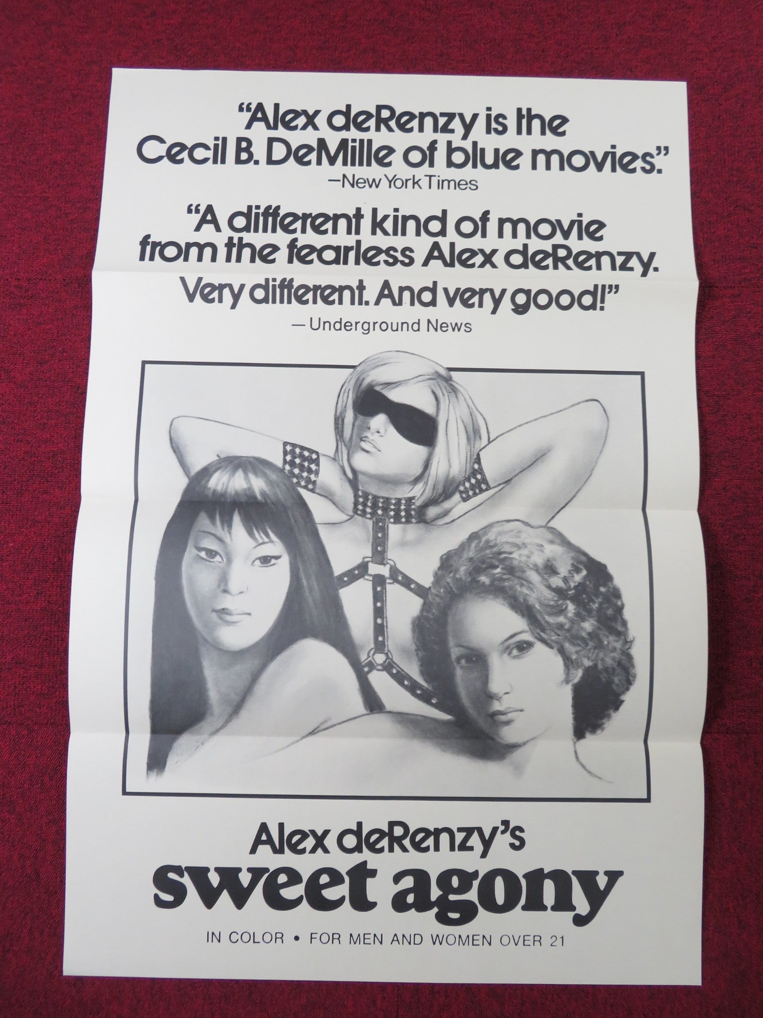SWEET AGONY US TRI FOLDED ONE SHEET ROLLED POSTER JOAN DEVLON CLAIRE JAMES 1974 Rendezvous Cinema Movie posters