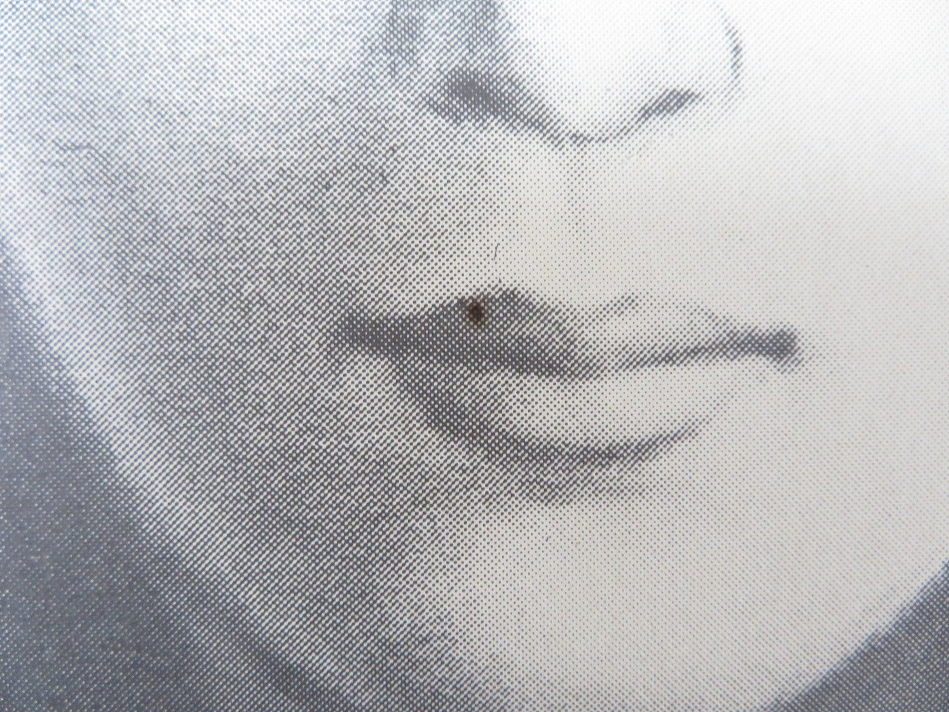 SWEET AGONY US TRI FOLDED ONE SHEET ROLLED POSTER JOAN DEVLON CLAIRE JAMES 1974 Rendezvous Cinema Movie posters