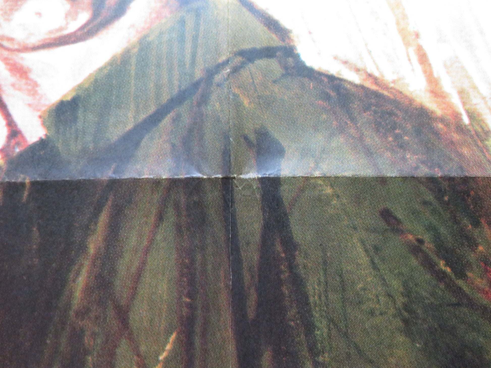 SWEET BIRD OF YOUTH ARGENTINIAN POSTER PAUL NEWMAN RIP TORN 1962 Rendezvous Cinema Movie posters