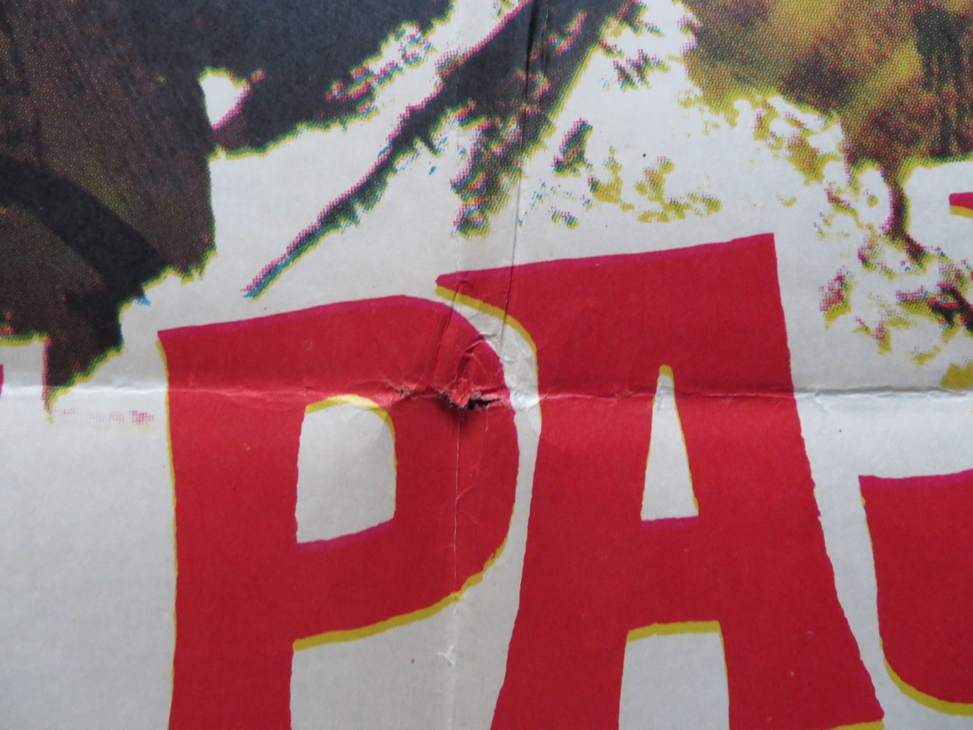 SWEET BIRD OF YOUTH ARGENTINIAN POSTER PAUL NEWMAN RIP TORN 1962 Rendezvous Cinema Movie posters