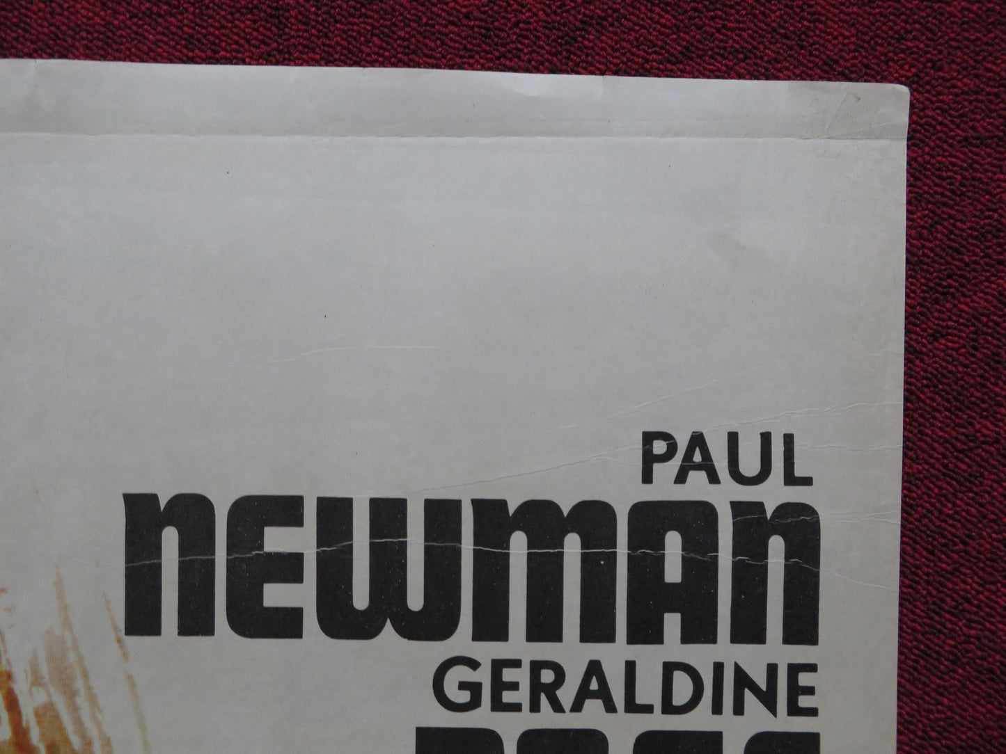 SWEET BIRD OF YOUTH ARGENTINIAN POSTER PAUL NEWMAN RIP TORN 1962 Rendezvous Cinema Movie posters