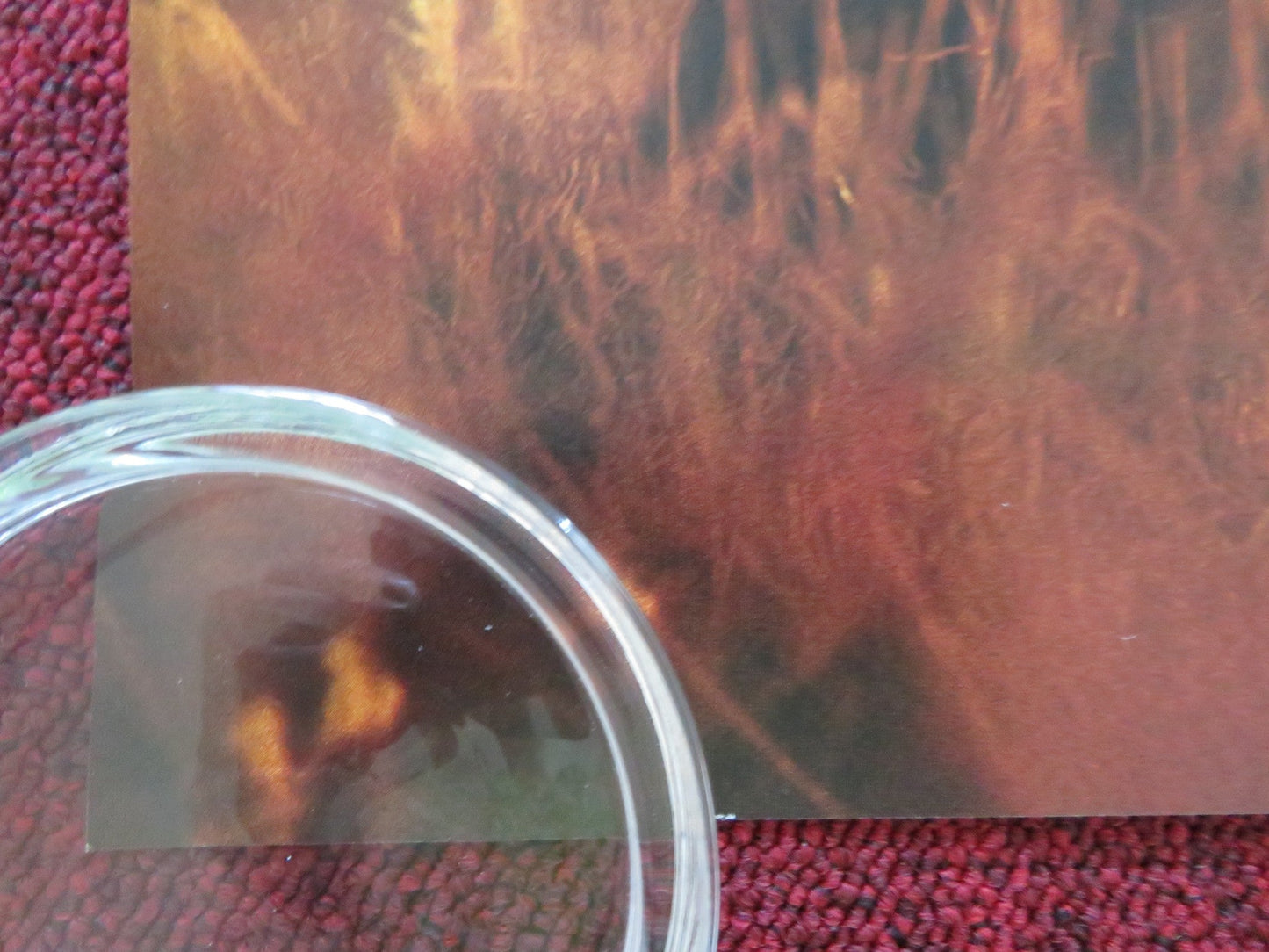 SWEET COUNTRY UK QUAD ROLLED POSTER HAMILTON MORRIS SAM NEILL 2017 Rendezvous Cinema Movie posters