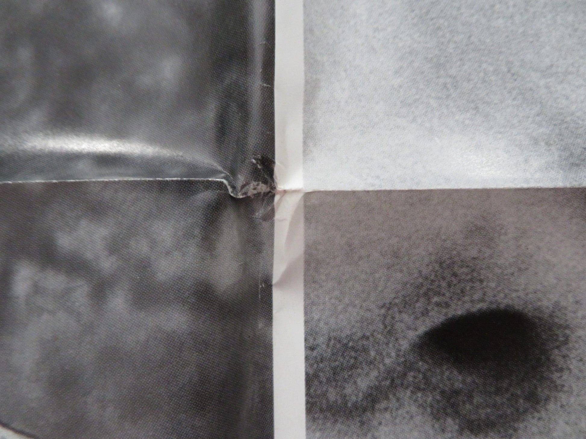 SWEET REVENGE FOLDED US ONE SHEET POSTER STOCKARD CHANNING SAM WATERSTON 1977 Rendezvous Cinema Movie posters