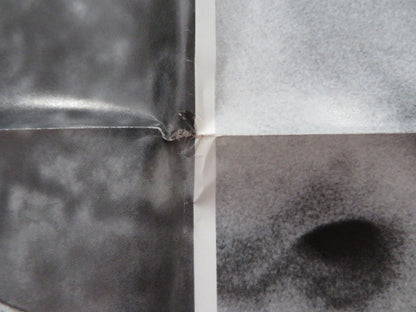 SWEET REVENGE FOLDED US ONE SHEET POSTER STOCKARD CHANNING SAM WATERSTON 1977 Rendezvous Cinema Movie posters