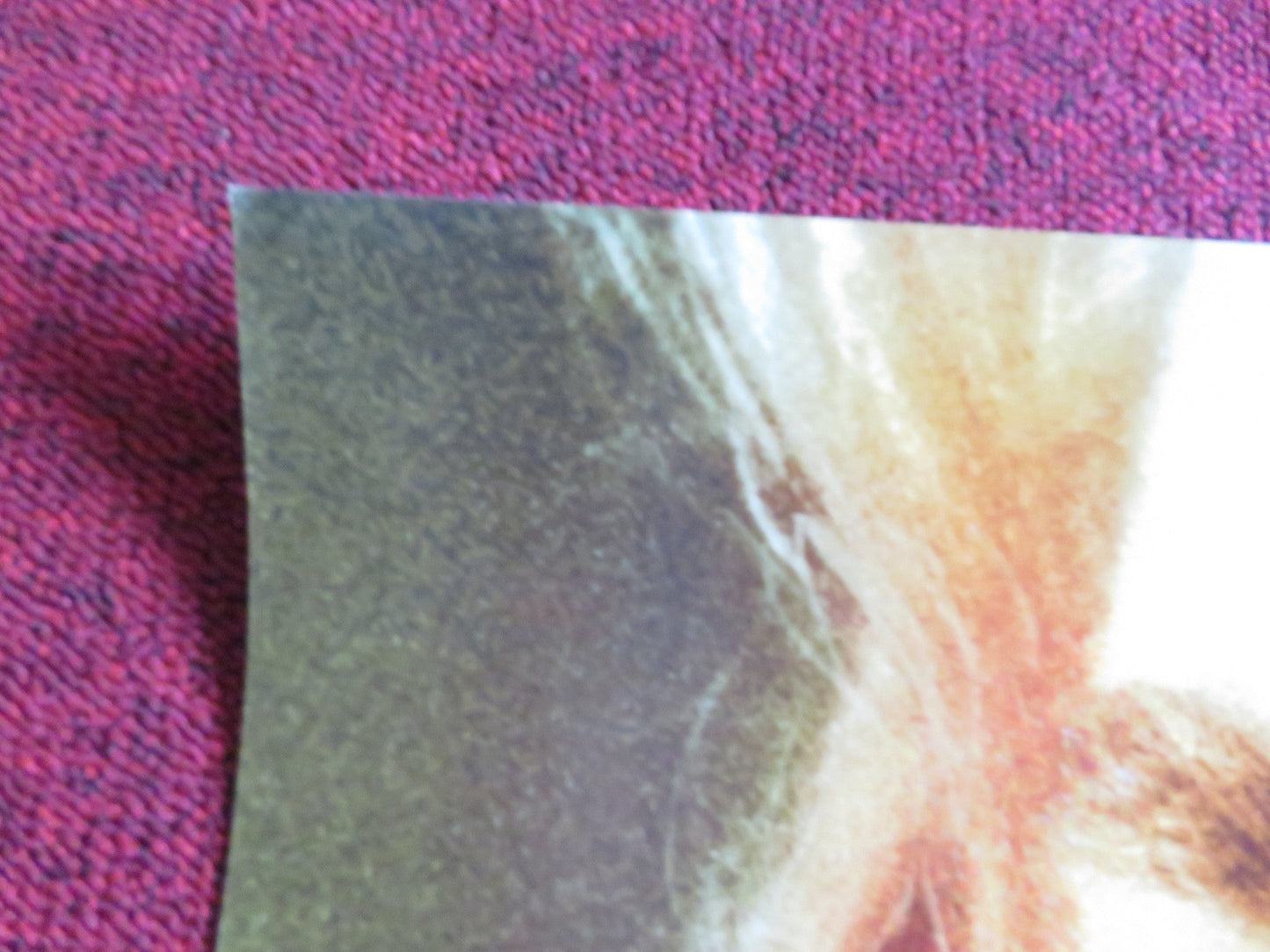 SWIMFAN - B US ONE SHEET ROLLED POSTER JESSE BRADFORD ERIKA CHRISTENSEN 2002 Rendezvous Cinema Movie posters