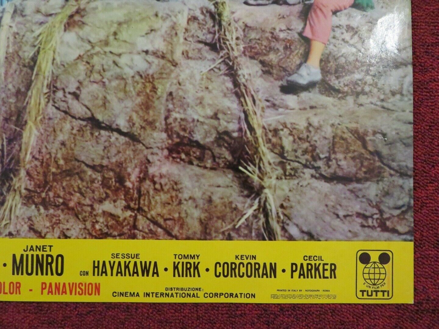 SWISS FAMILY ROBINSON - B ITALIAN FOTOBUSTA POSTER DISNEY JOHN MILLS 1962 Movie posters