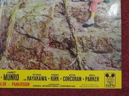 SWISS FAMILY ROBINSON - B ITALIAN FOTOBUSTA POSTER DISNEY JOHN MILLS 1962 Movie posters