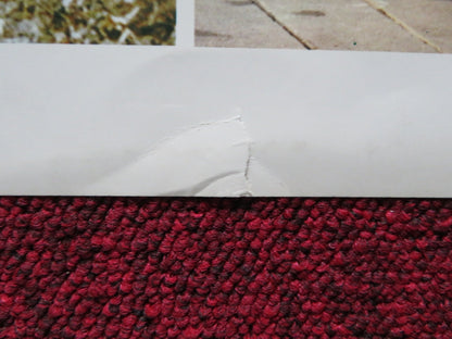 SWISS FAMILY ROBINSON FOLDED US INSERT POSTER JOHN MILLS DOROTHY MCGUIRE R1975 Rendezvous Cinema Movie posters