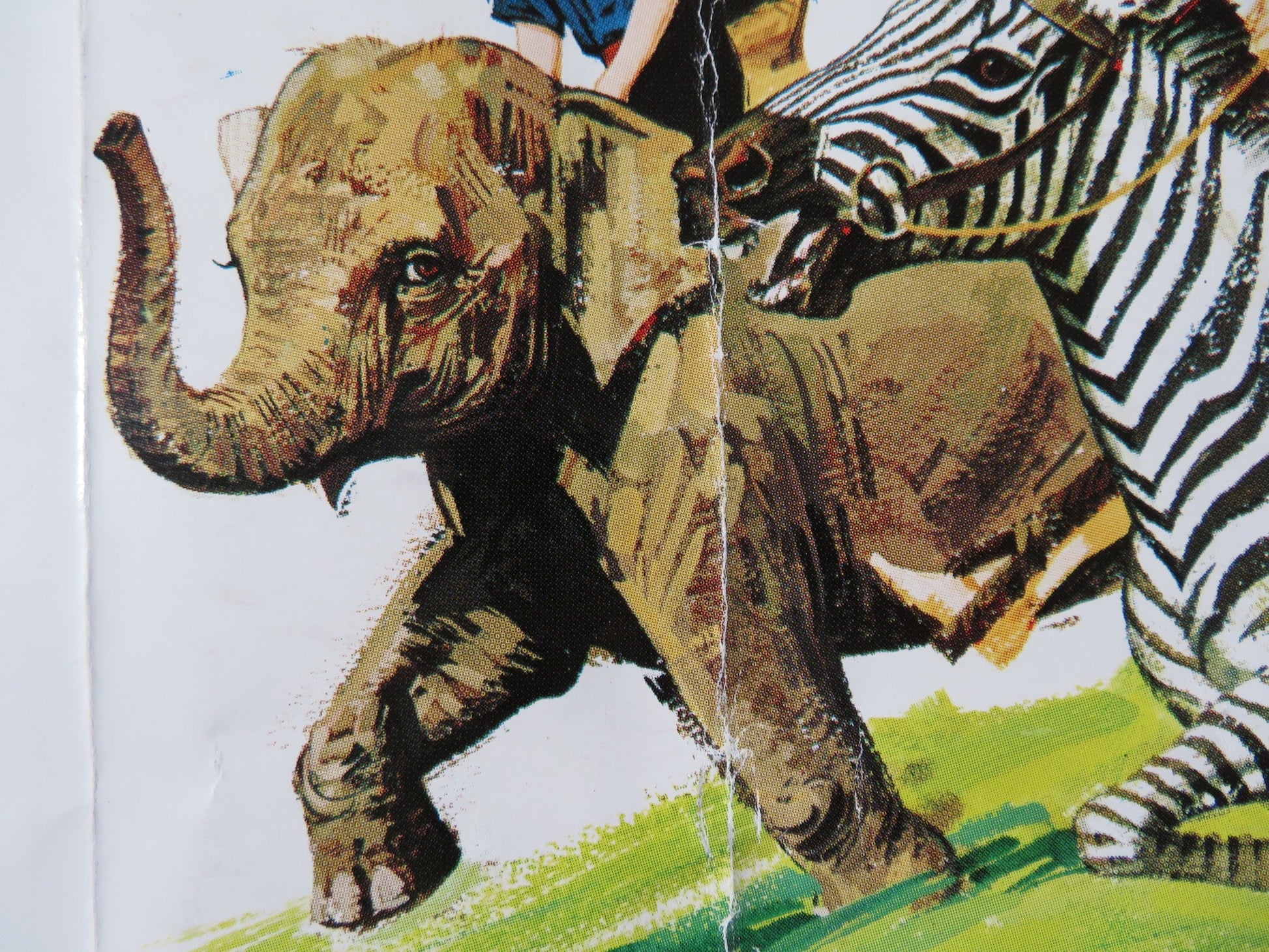 SWISS FAMILY ROBINSON US HALF SHEET (22"x 28") POSTER DISNEY JOHN MILLIS 1968 Rendezvous Cinema Movie posters