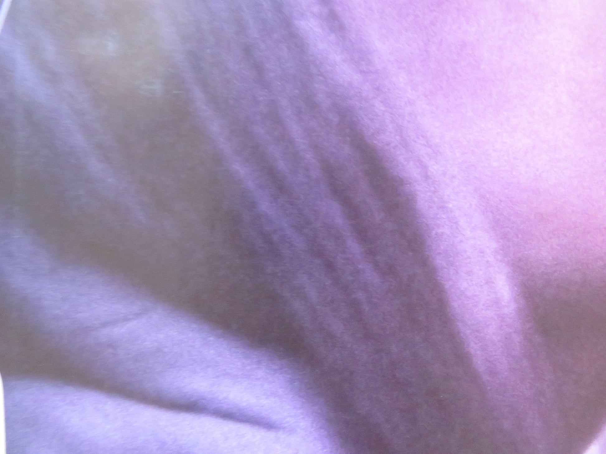 SYLVIA UK QUAD (30"x 40") ROLLED POSTER GWYNETH PALTROW DANIEL CRAIG 2003 Rendezvous Cinema Movie posters