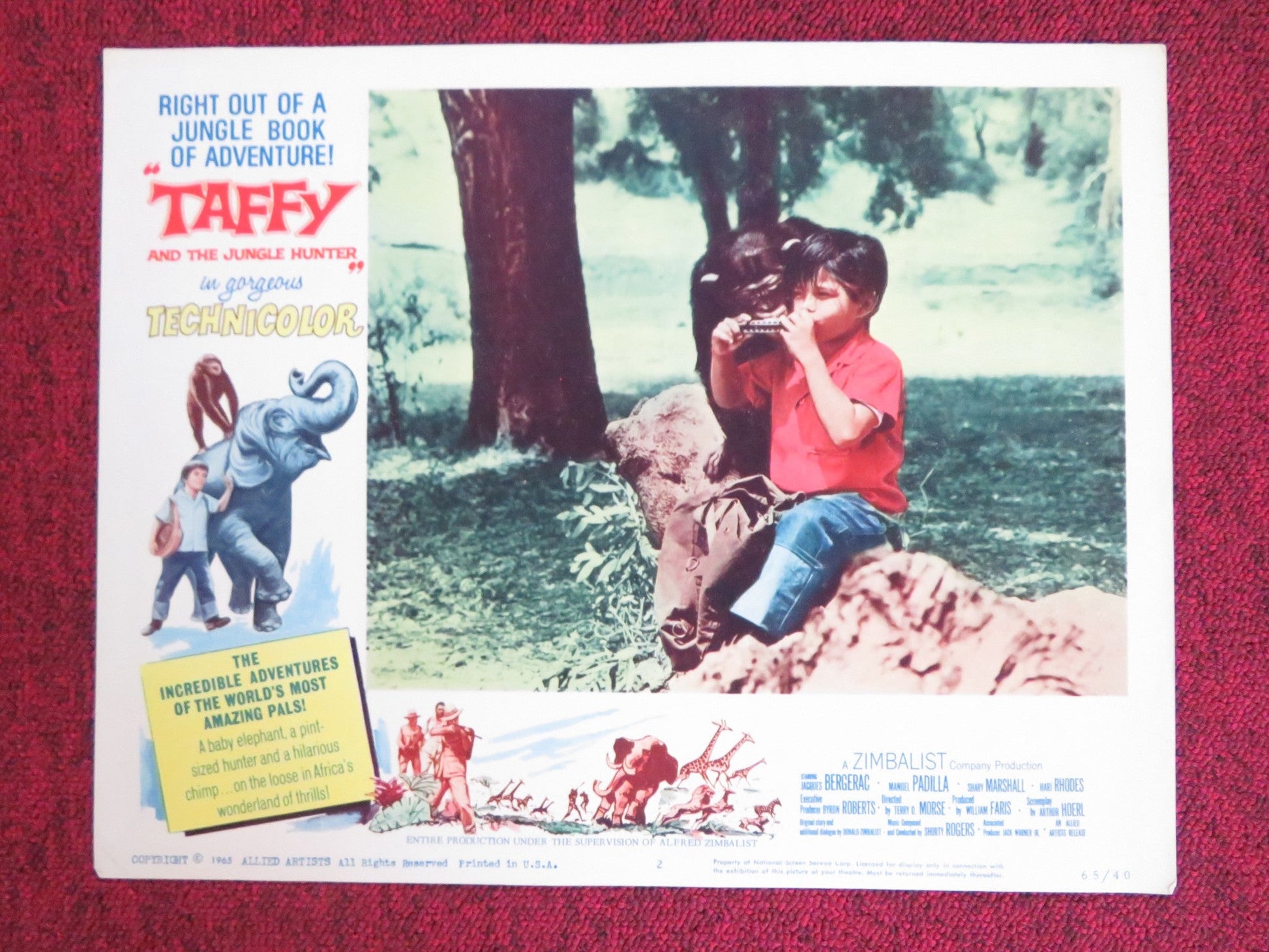 TAFFY AND THE JUNGLE HUNTER US LOBBY CARD FULL SET JACQUES BERGERAC 1965 Rendezvous Cinema Movie posters