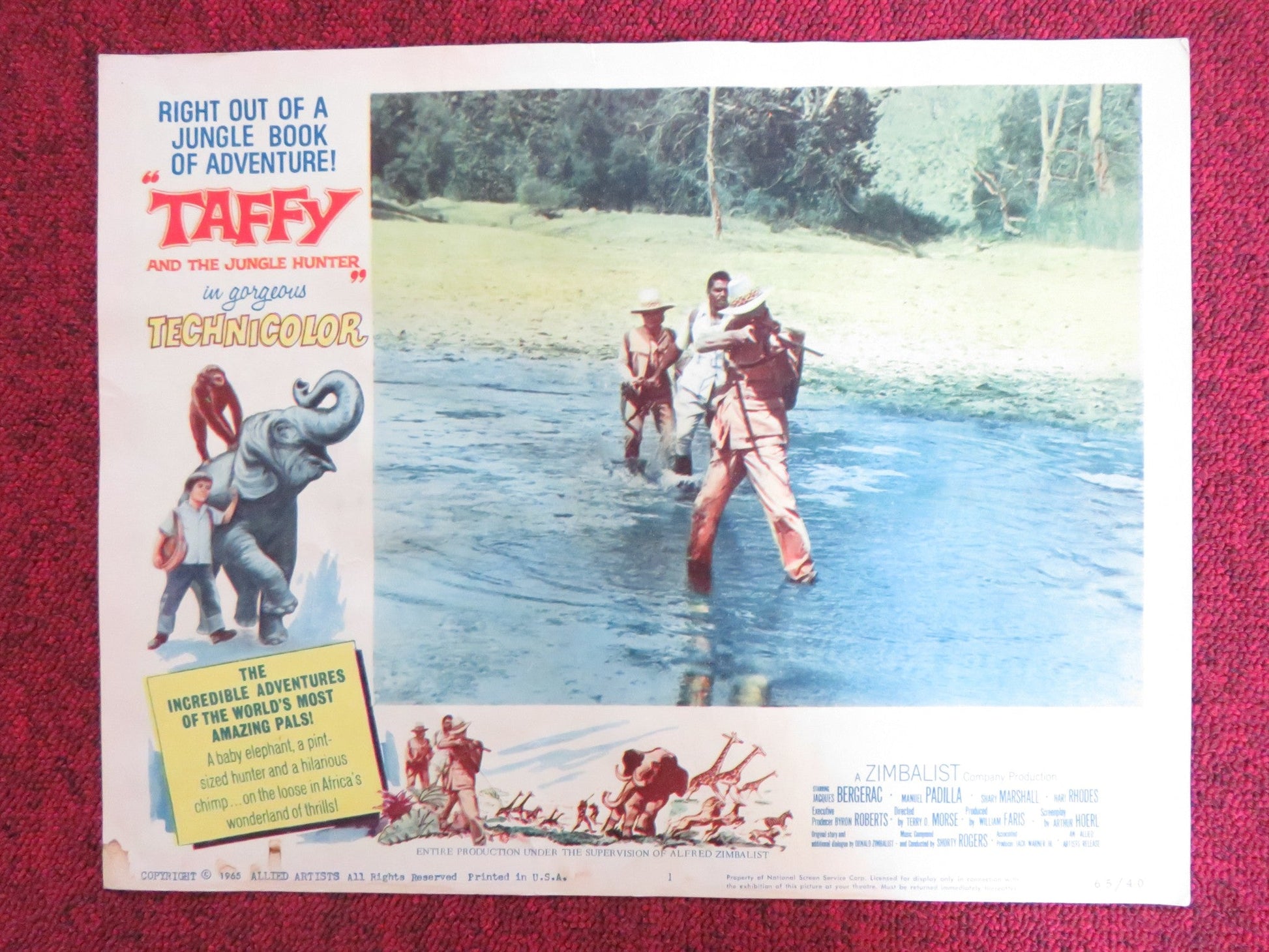 TAFFY AND THE JUNGLE HUNTER US LOBBY CARD FULL SET JACQUES BERGERAC 1965 Rendezvous Cinema Movie posters