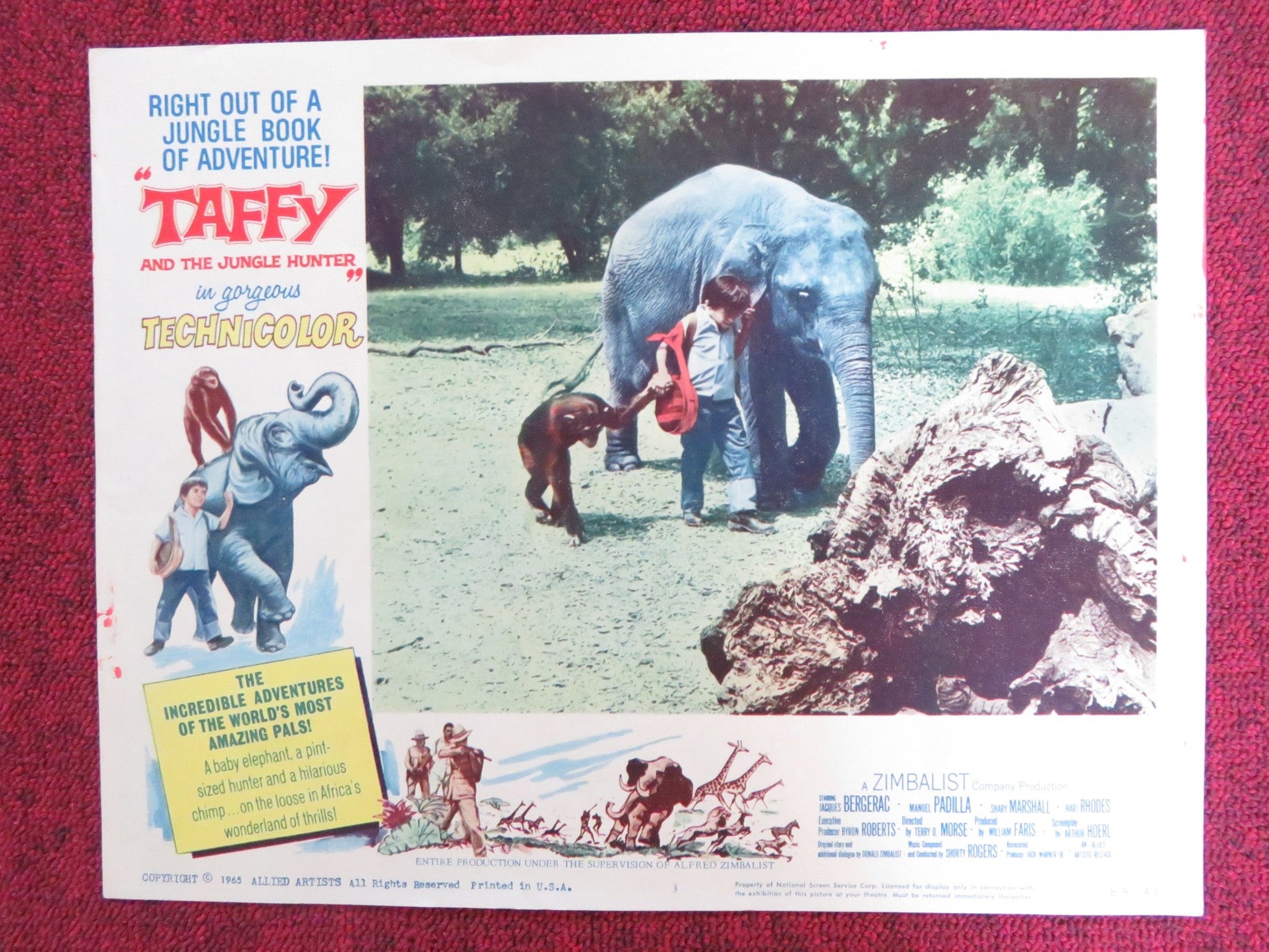 TAFFY AND THE JUNGLE HUNTER US LOBBY CARD FULL SET JACQUES BERGERAC 1965 Rendezvous Cinema Movie posters