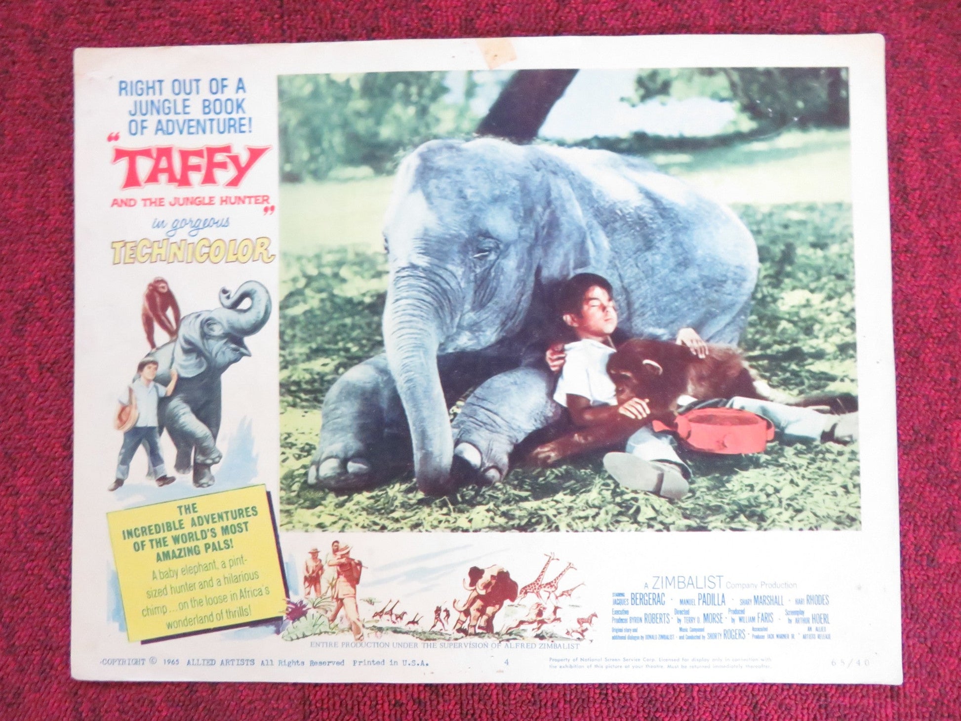 TAFFY AND THE JUNGLE HUNTER US LOBBY CARD FULL SET JACQUES BERGERAC 1965 Rendezvous Cinema Movie posters