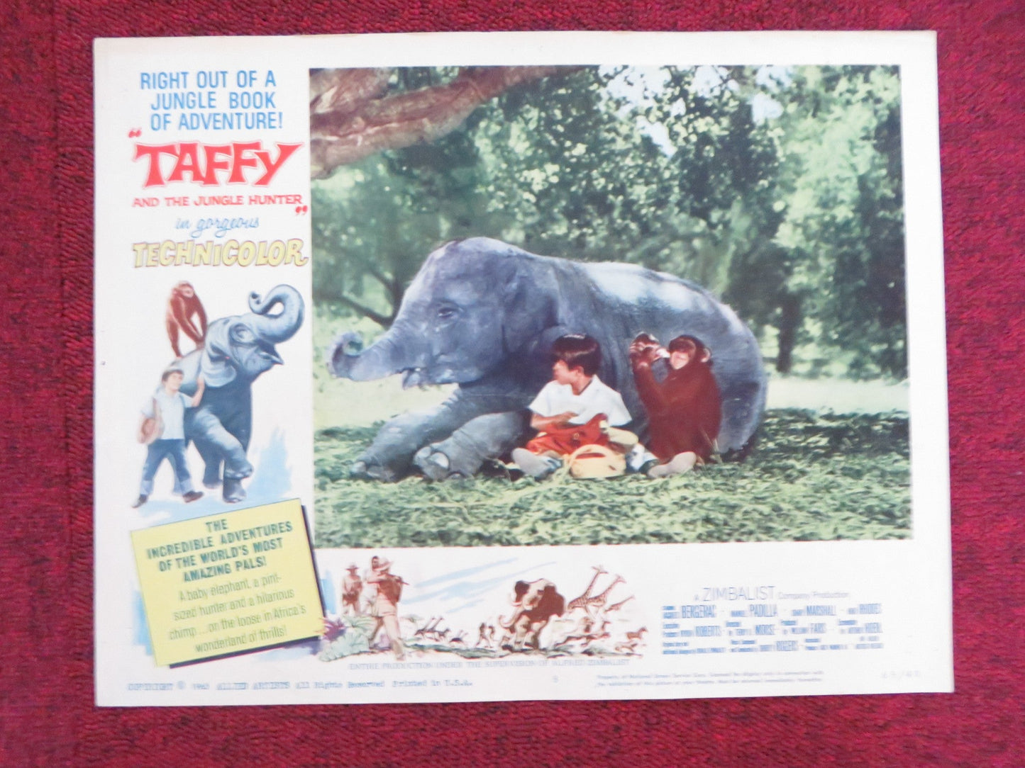 TAFFY AND THE JUNGLE HUNTER US LOBBY CARD FULL SET JACQUES BERGERAC 1965 Rendezvous Cinema Movie posters