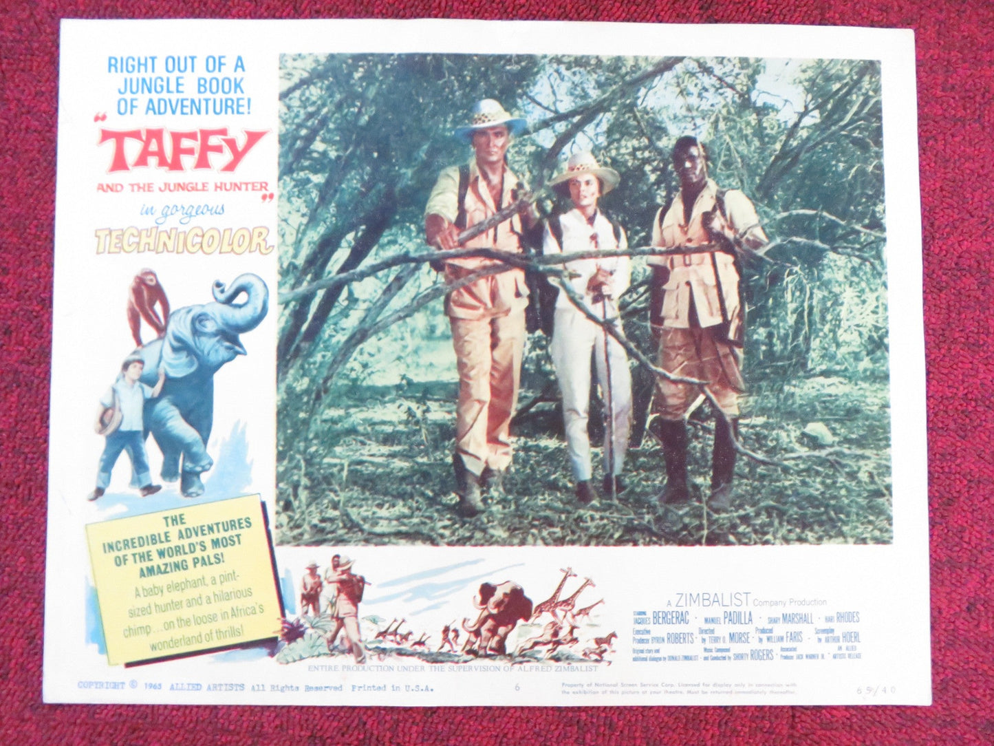 TAFFY AND THE JUNGLE HUNTER US LOBBY CARD FULL SET JACQUES BERGERAC 1965 Rendezvous Cinema Movie posters