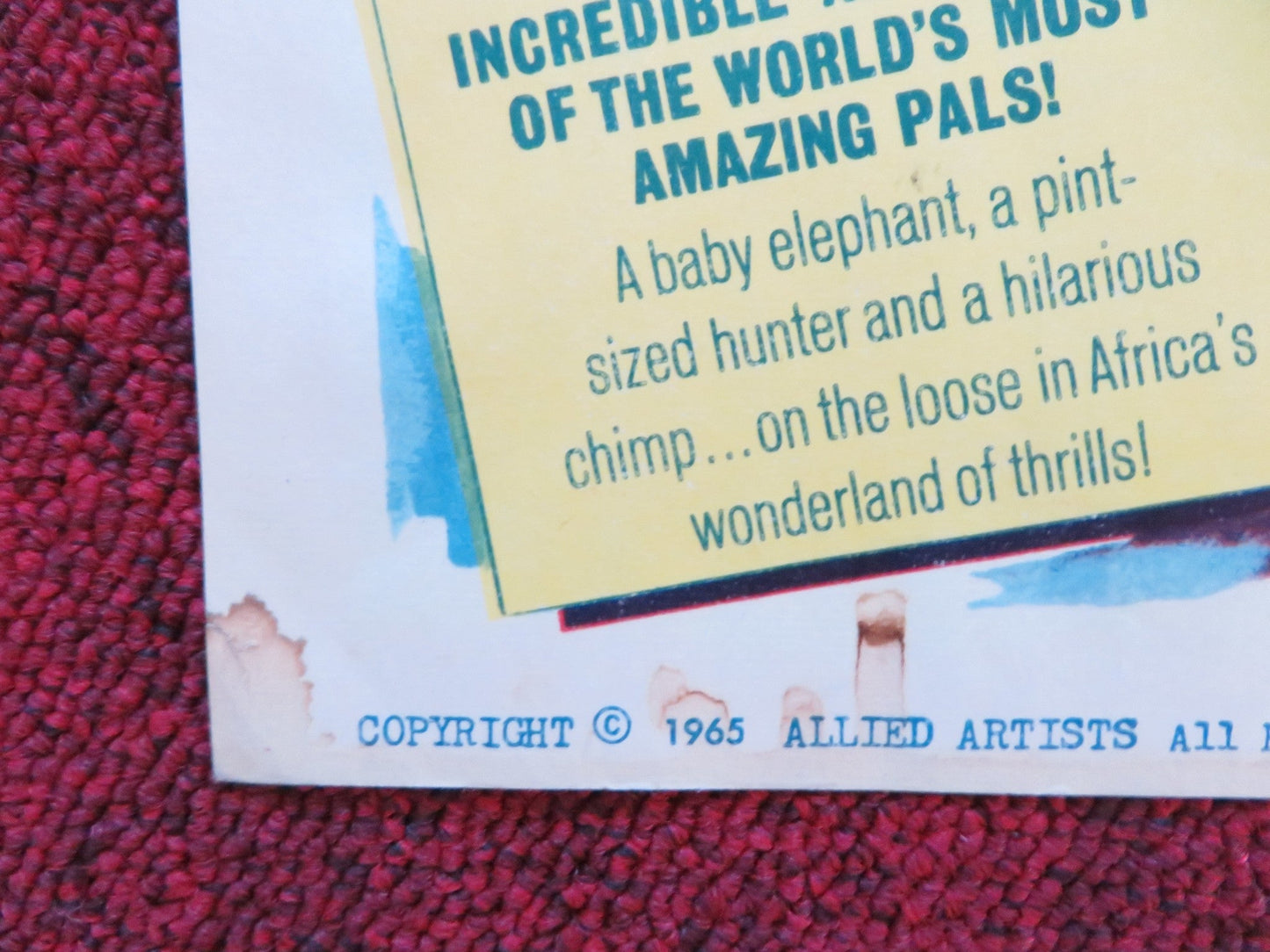 TAFFY AND THE JUNGLE HUNTER US LOBBY CARD FULL SET JACQUES BERGERAC 1965 Rendezvous Cinema Movie posters