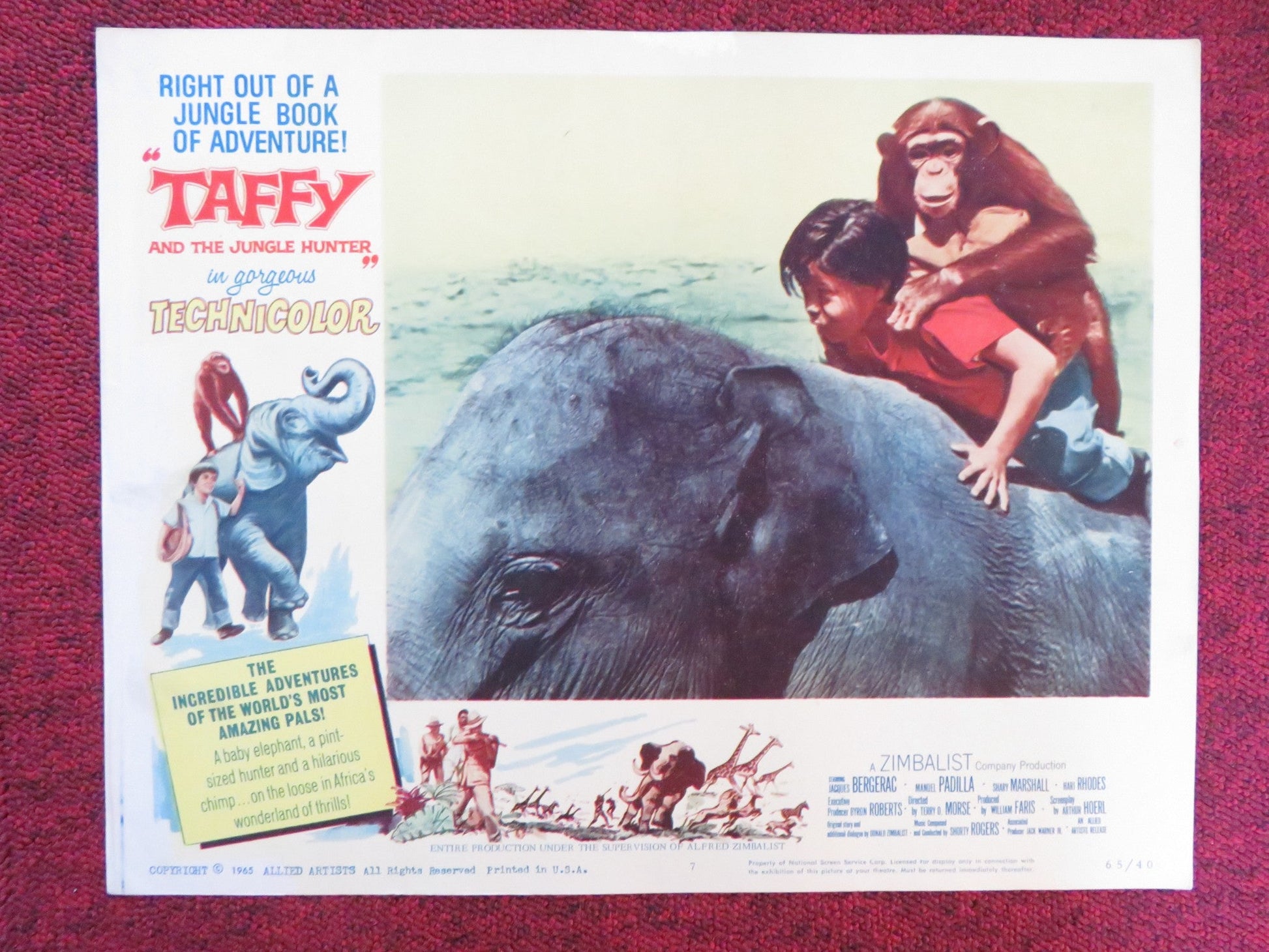 TAFFY AND THE JUNGLE HUNTER US LOBBY CARD FULL SET JACQUES BERGERAC 1965 Rendezvous Cinema Movie posters