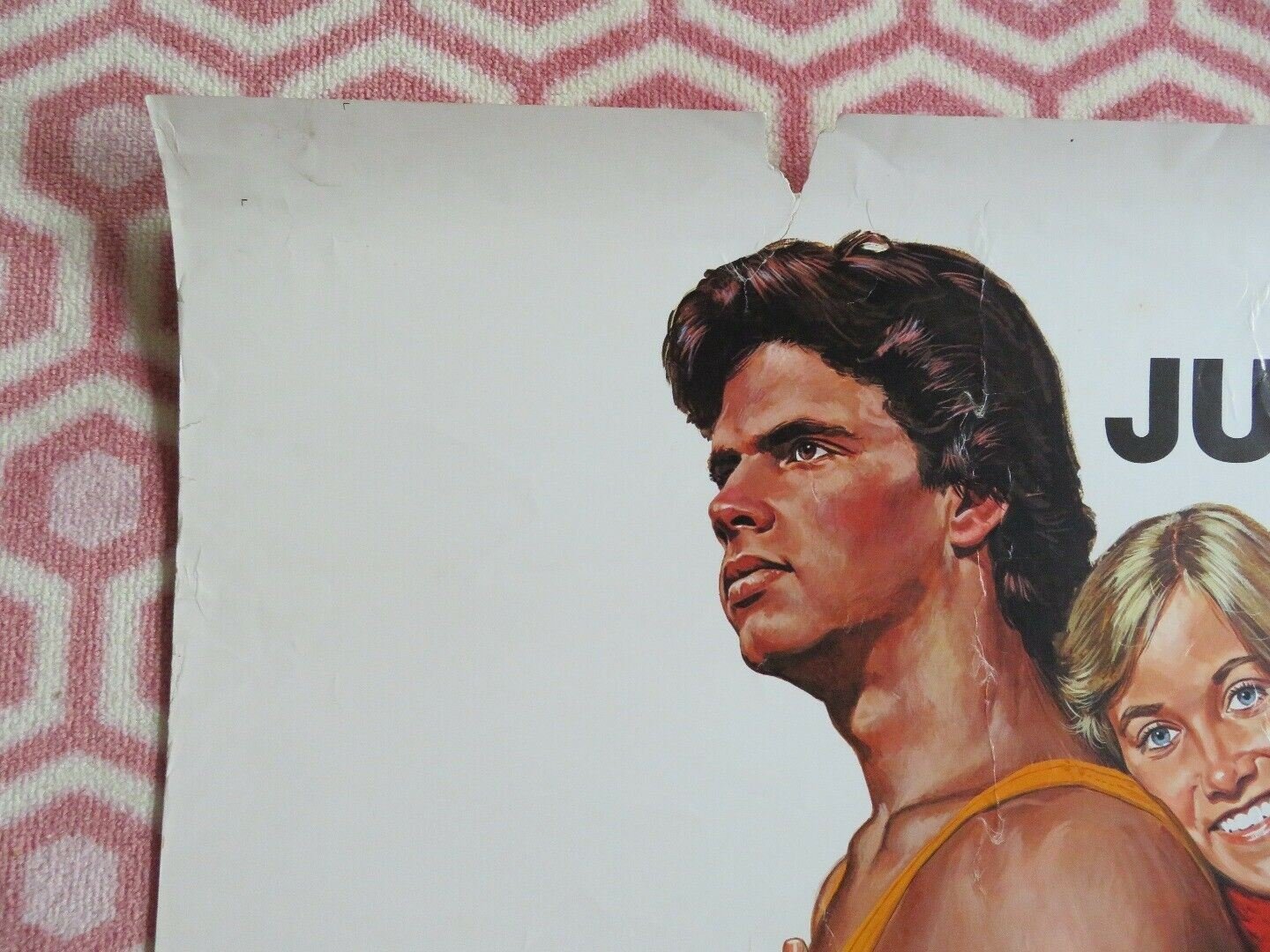 TAKE DOWN 30"x 40" ON CARD ROLLED POSTER EWARD HERRMANN KATHLEEN LLOYD 1979 Movie posters