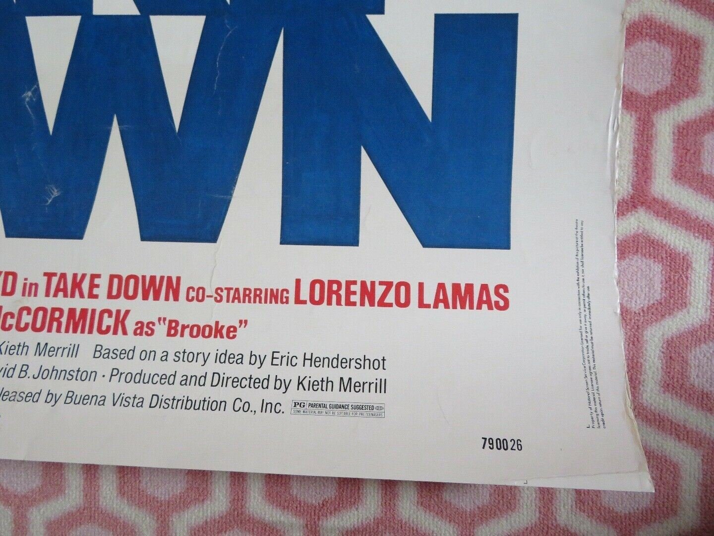 TAKE DOWN 30"x 40" ON CARD ROLLED POSTER EWARD HERRMANN KATHLEEN LLOYD 1979 Movie posters