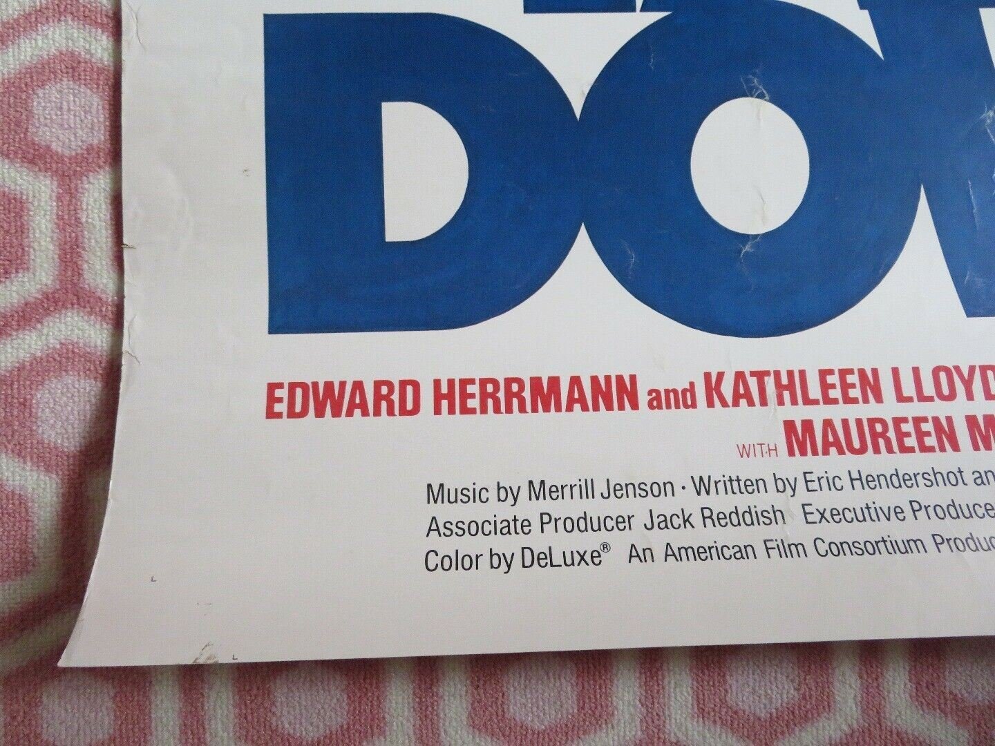 TAKE DOWN 30"x 40" ON CARD ROLLED POSTER EWARD HERRMANN KATHLEEN LLOYD 1979 Movie posters
