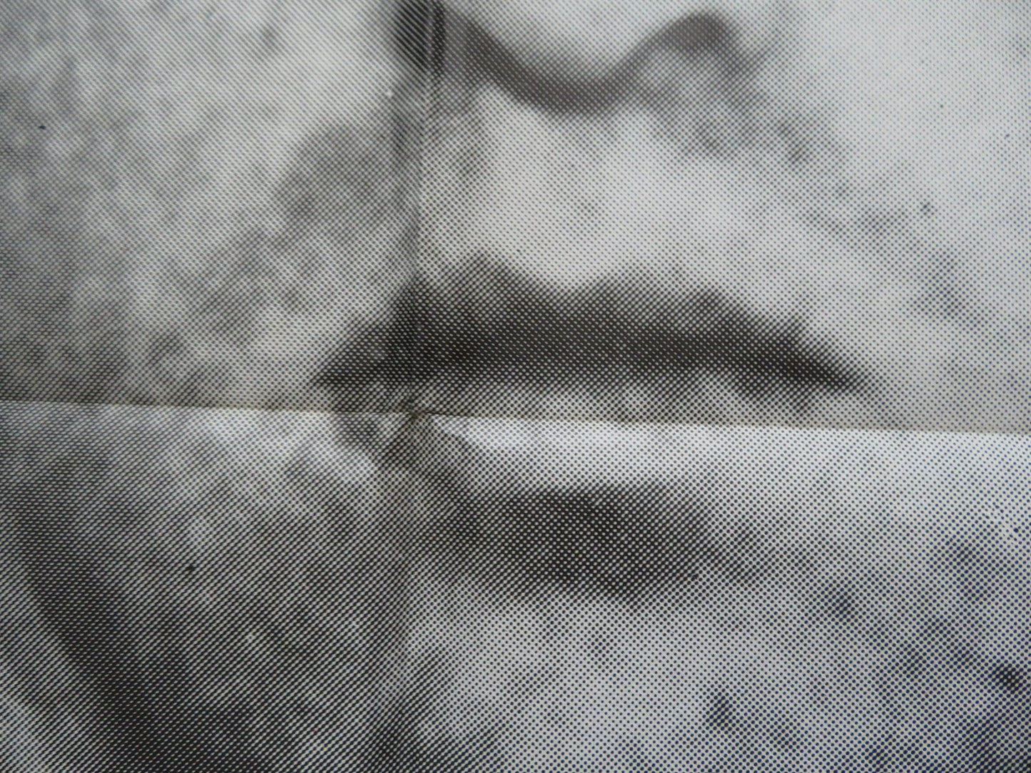 TAKE THE MONEY AND RUN FRENCH GRANDE POSTER WOODY ALLEN JANET MARGOLIN 1972 Rendezvous Cinema Movie posters