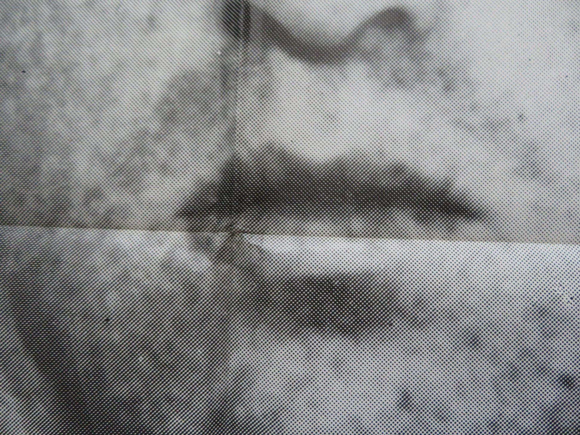 TAKE THE MONEY AND RUN FRENCH GRANDE POSTER WOODY ALLEN JANET MARGOLIN 1972 Rendezvous Cinema Movie posters