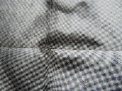 TAKE THE MONEY AND RUN FRENCH GRANDE POSTER WOODY ALLEN JANET MARGOLIN 1972 Rendezvous Cinema Movie posters