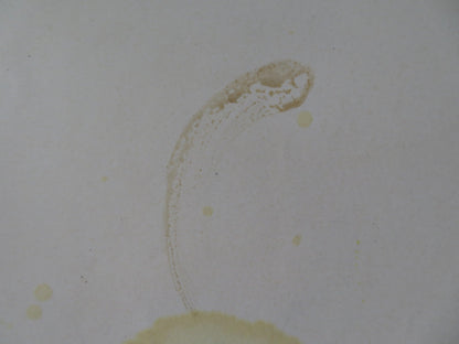 TAKE THE MONEY AND RUN ITALIAN FOGLIO POSTER WOODY ALLEN JANET MARGOLIN 1969 Rendezvous Cinema Movie posters