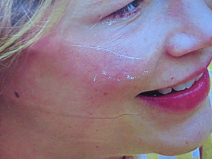 TAKE THIS WALTZ UK QUAD (30"x 40") ROLLED POSTER SETH ROGEN M. WILLIAMS 2011 Rendezvous Cinema Movie posters