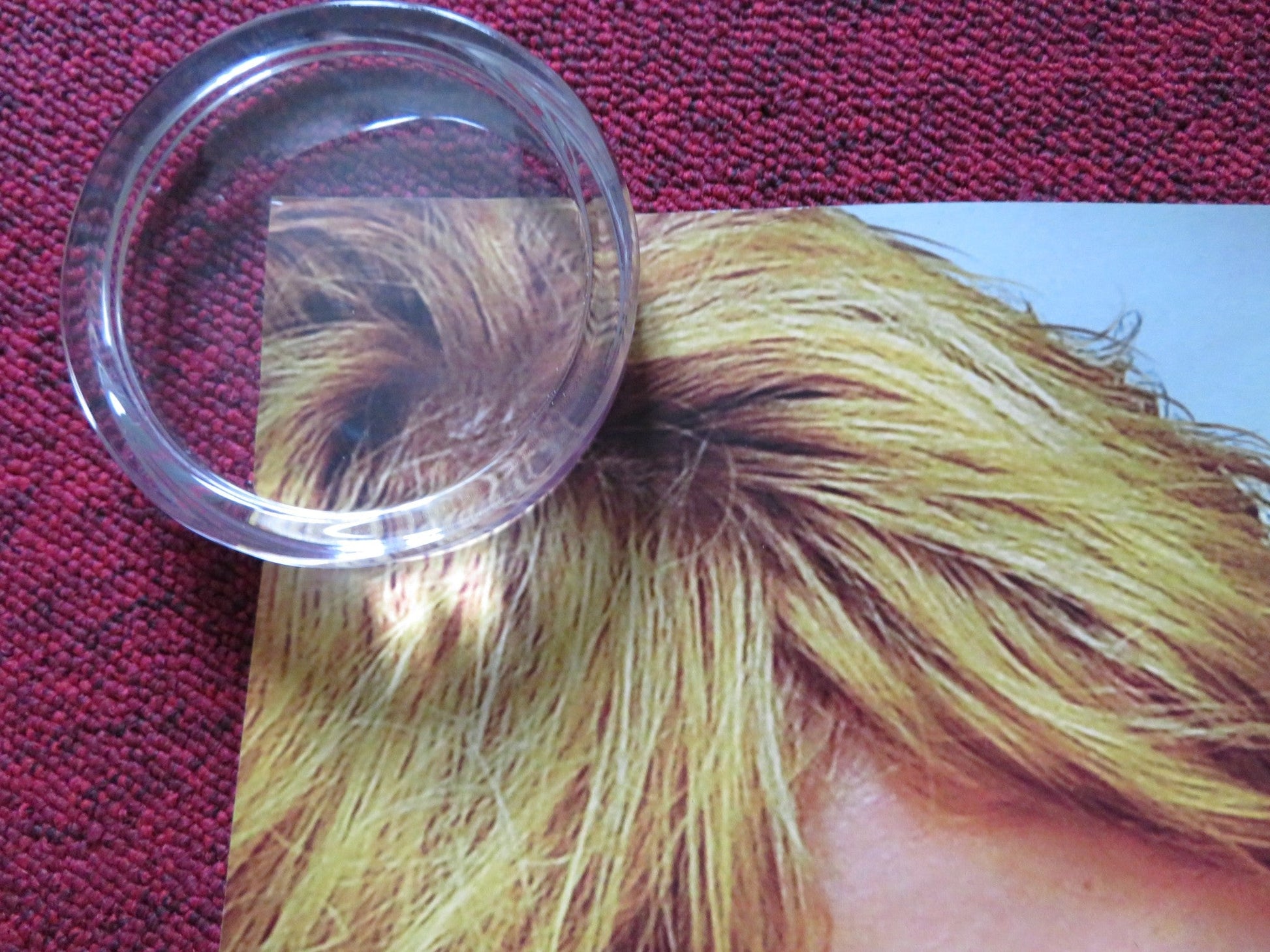 TAKE THIS WALTZ UK QUAD (30"x 40") ROLLED POSTER SETH ROGEN M. WILLIAMS 2011 Rendezvous Cinema Movie posters