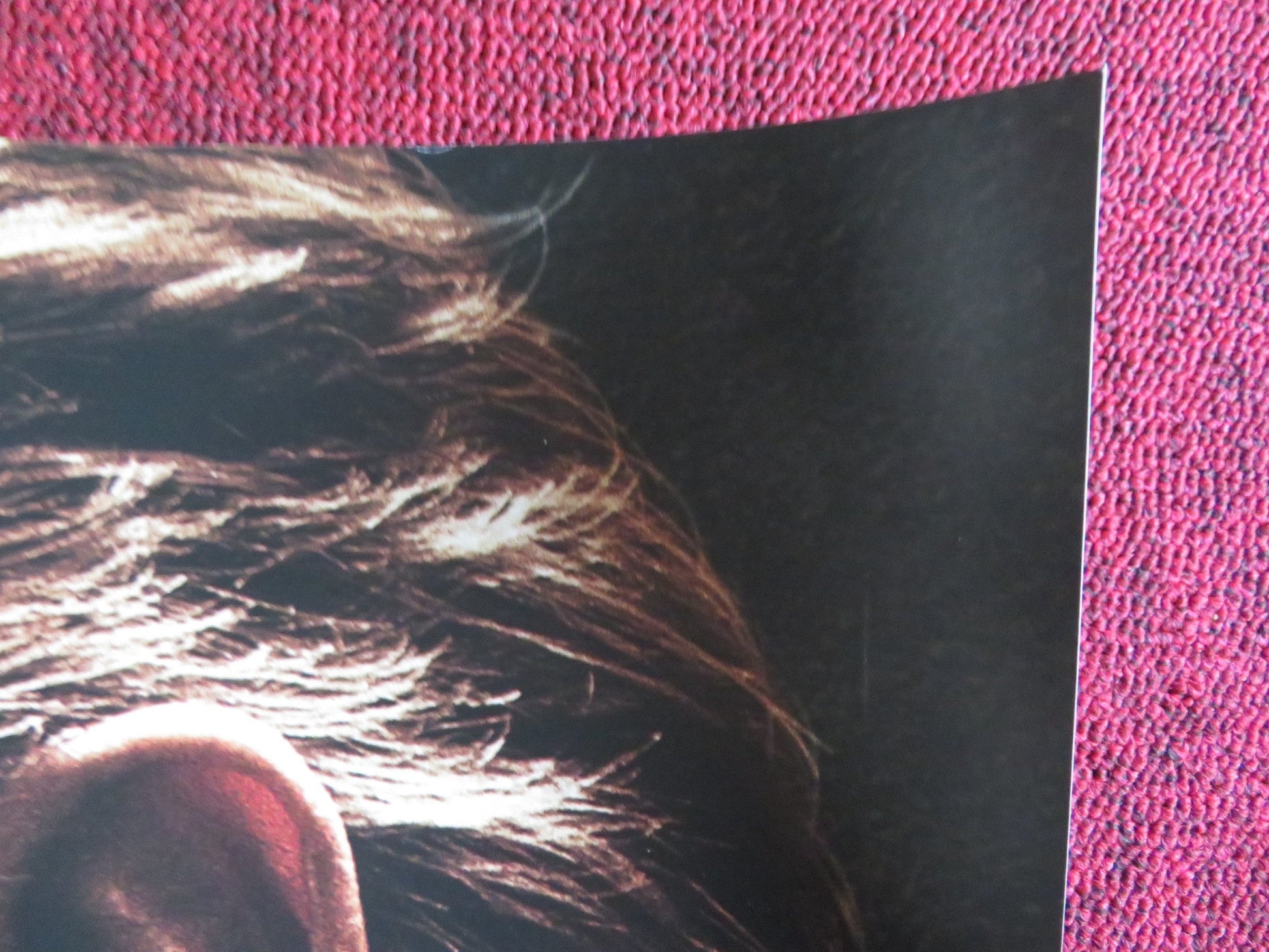 TAKEN 3 UK QUAD (30"x 40") ROLLED POSTER LIAM NEESON FOREST WHITAKER 2014 Rendezvous Cinema Movie posters