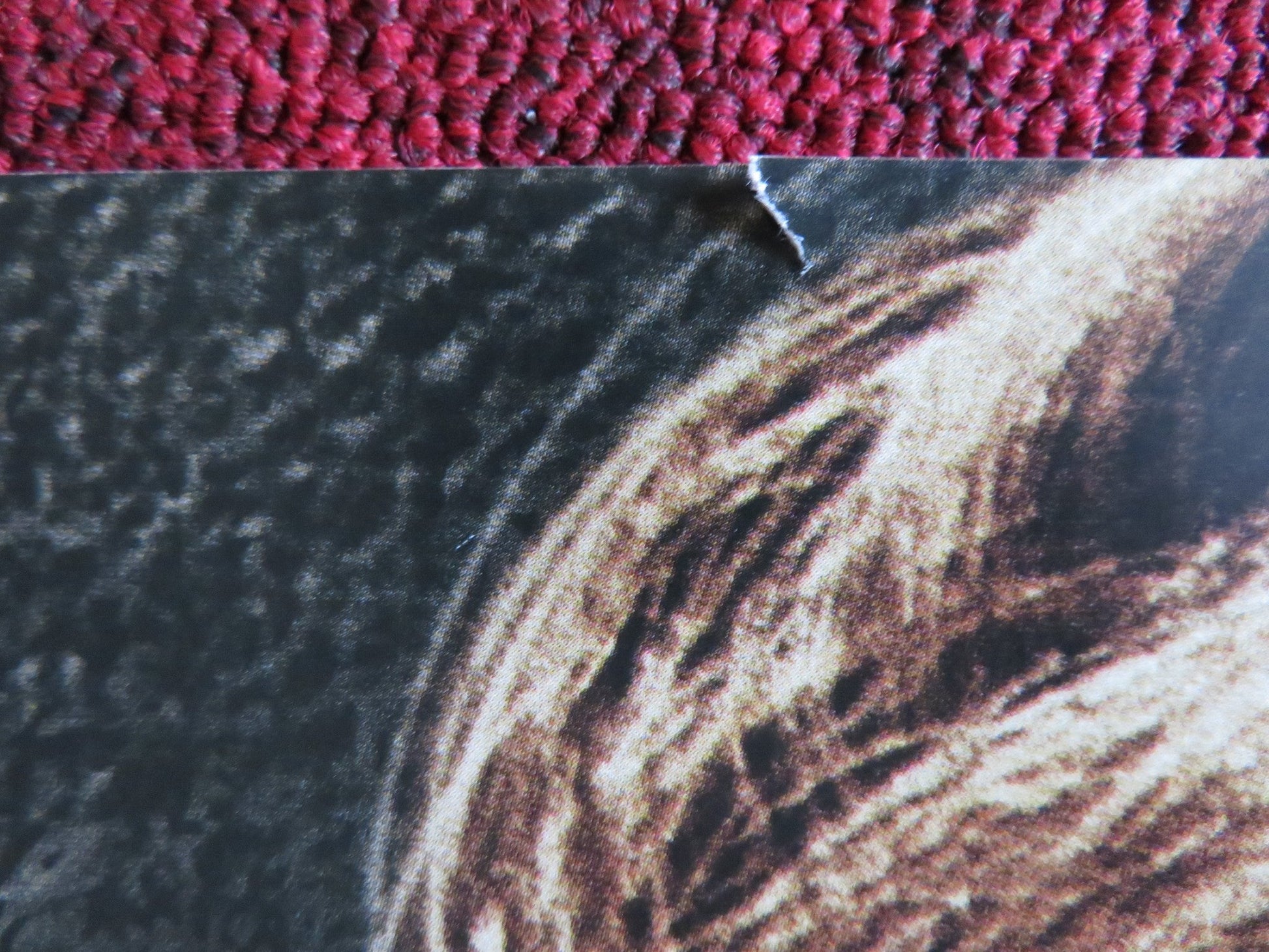 TAKEN 3 UK QUAD (30"x 40") ROLLED POSTER LIAM NEESON FOREST WHITAKER 2014 Rendezvous Cinema Movie posters