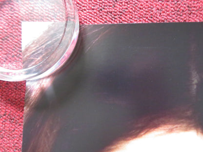 TAMARA DREWE UK QUAD (30"x 40") ROLLED POSTER GEMMA ARTERTON LUKE EVANS 2010 Rendezvous Cinema Movie posters