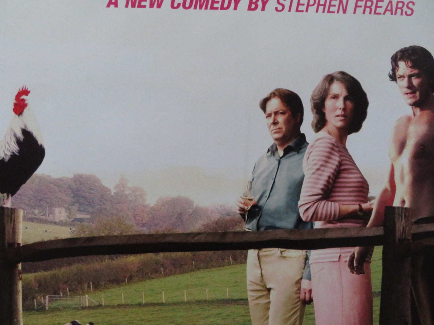 TAMARA DREWE UK QUAD (30"x 40") ROLLED POSTER GEMMA ARTERTON LUKE EVANS 2010 Rendezvous Cinema Movie posters