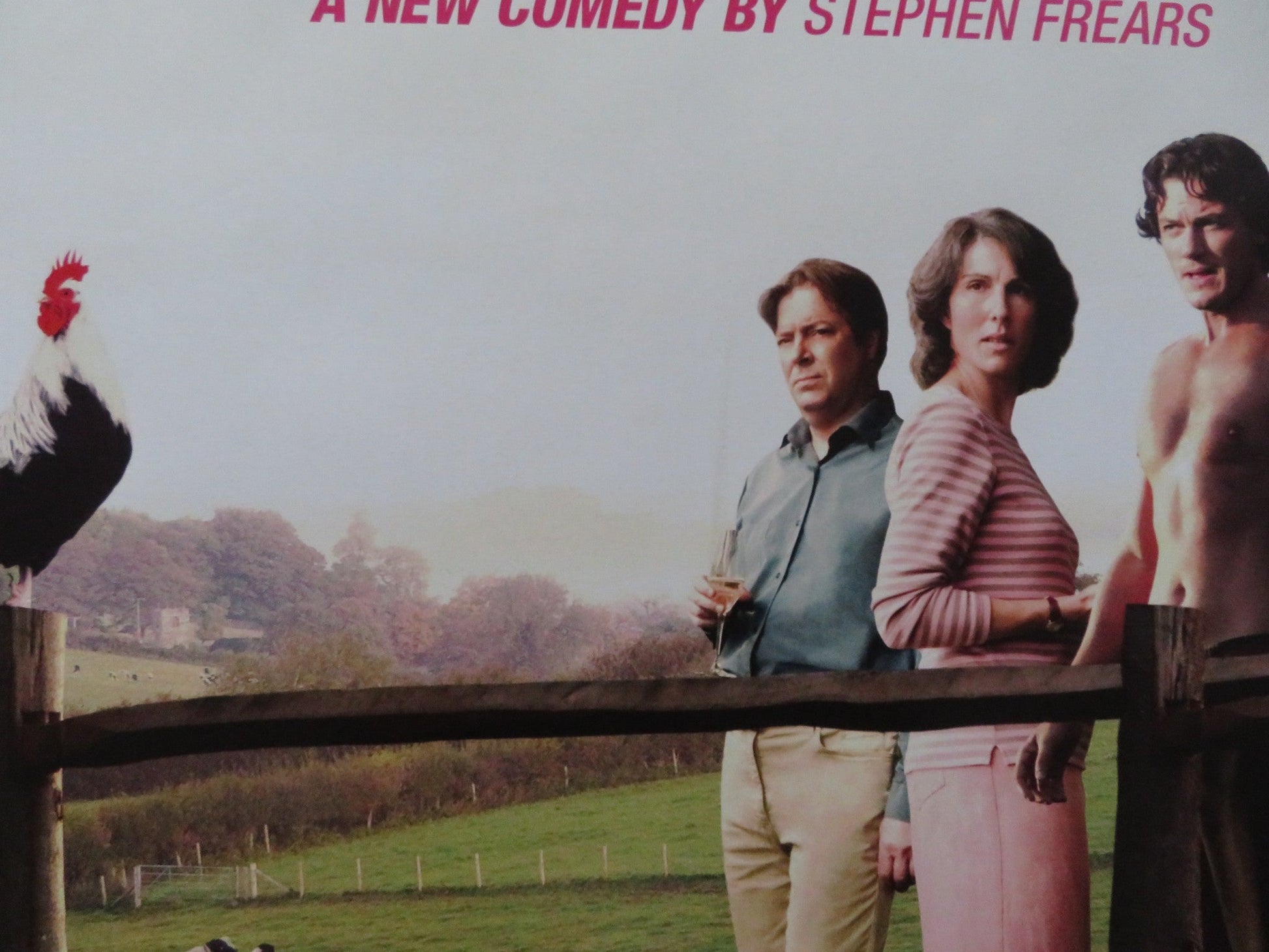 TAMARA DREWE UK QUAD (30"x 40") ROLLED POSTER GEMMA ARTERTON LUKE EVANS 2010 Rendezvous Cinema Movie posters