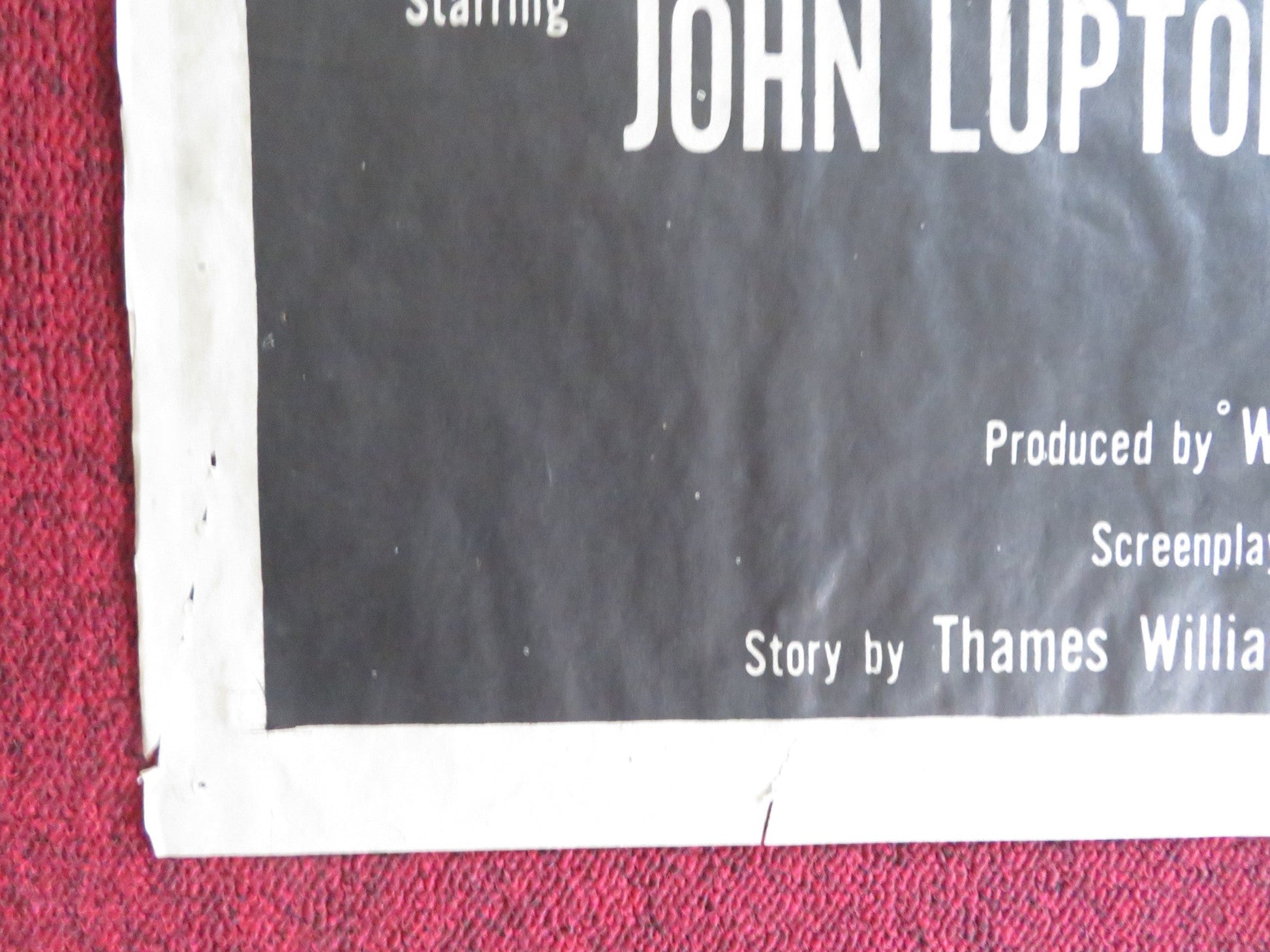 TAMING SUTTON'S GAL FOLDED US ONE SHEET POSTER JOHN LUPTON GLORIA TALBOTT 1957 Rendezvous Cinema Movie posters