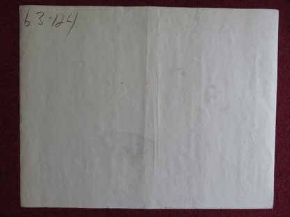 TAMMY AND THE DOCTOR US HALF SHEET (22"x 28") POSTER SANDRA DEE PETER FONDA 1963 Rendezvous Cinema Movie posters