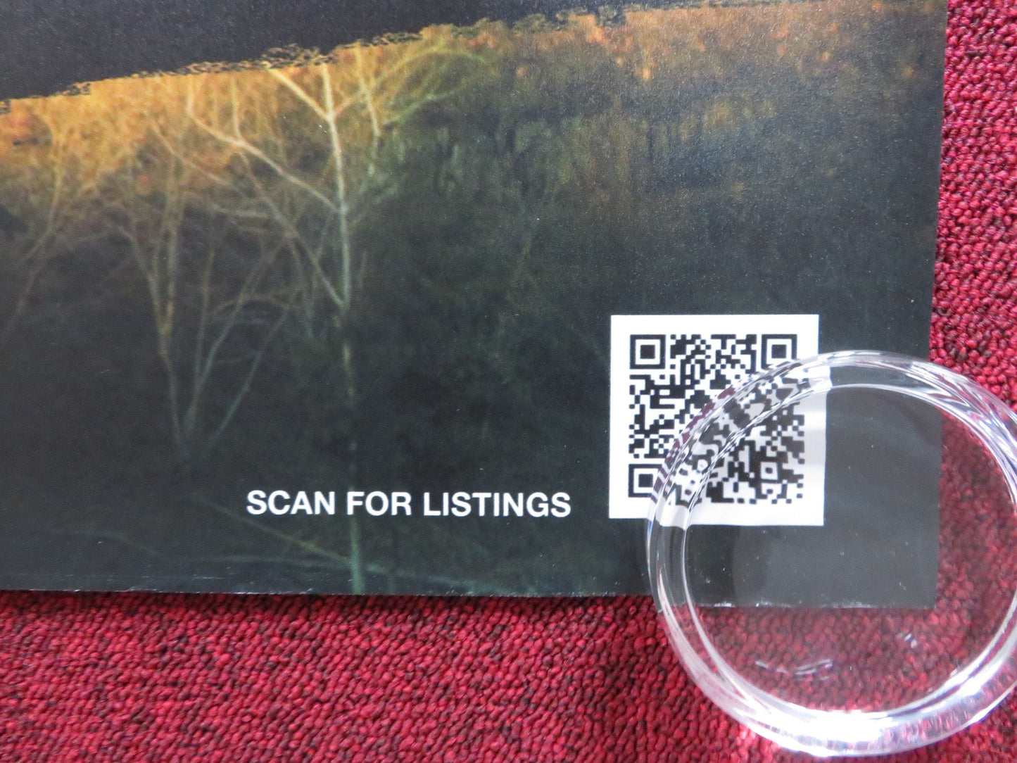 TANGERINES UK QUAD (30"x 40") ROLLED POSTER LEMBIT ULFSAK GIORGI NAKASHIDZE 2013 Rendezvous Cinema Movie posters