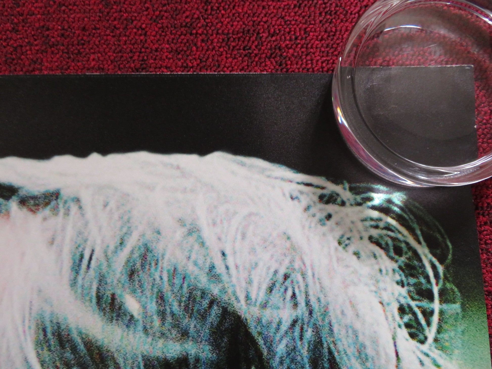 TANGERINES UK QUAD (30"x 40") ROLLED POSTER LEMBIT ULFSAK GIORGI NAKASHIDZE 2013 Rendezvous Cinema Movie posters